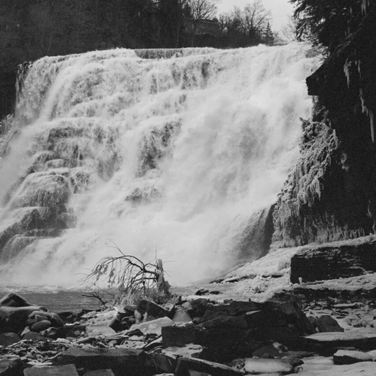 Culling The Past From Unsentient Weeks