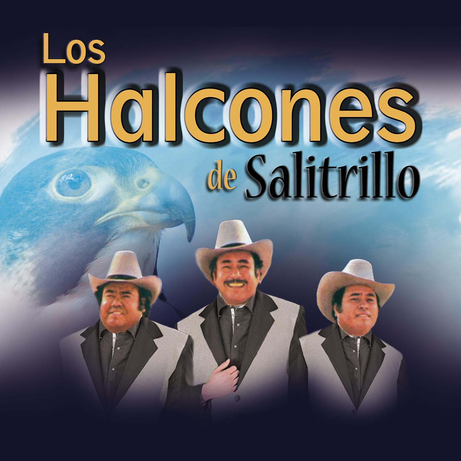 Los Halcones de Salitrillo