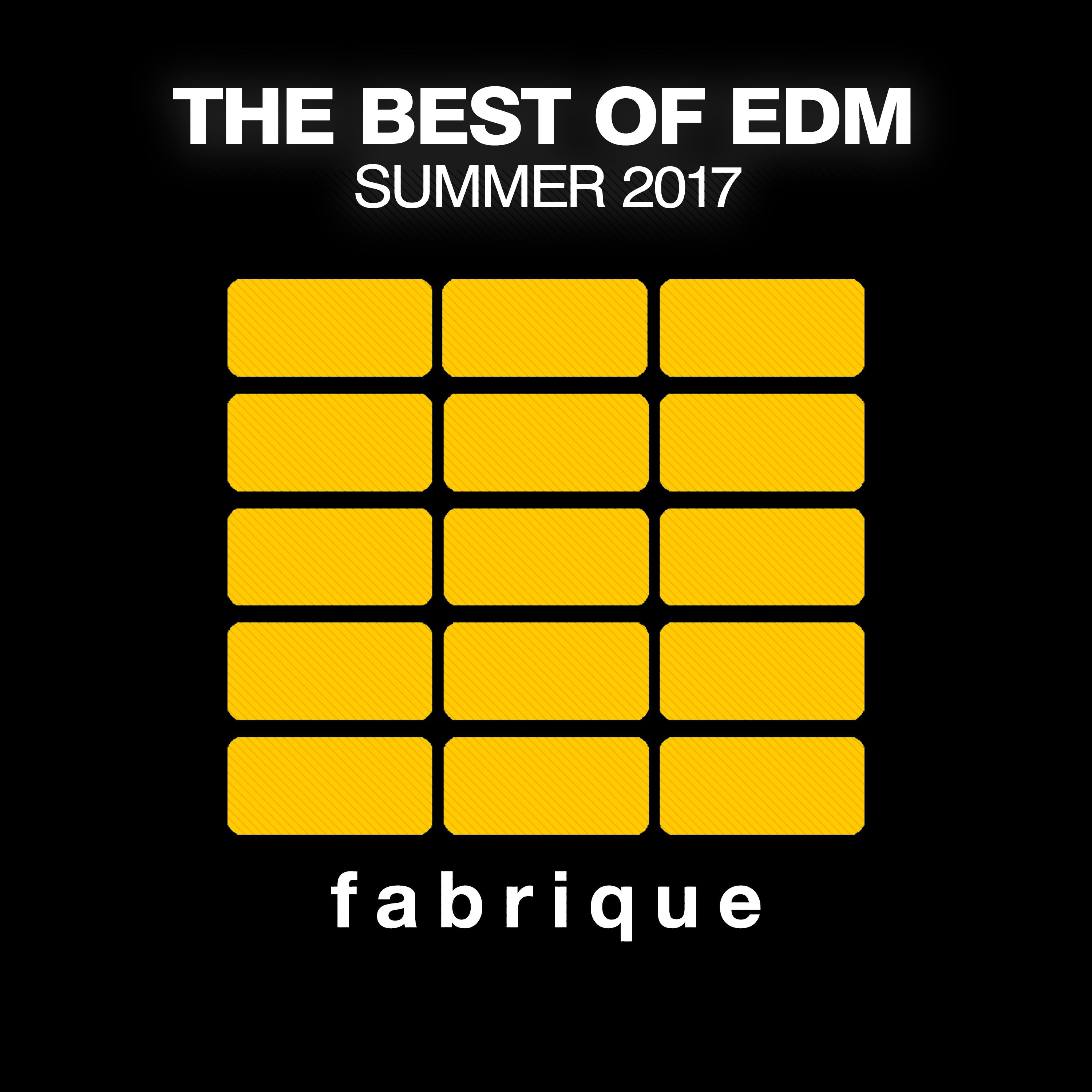 The Best of EDM (Summer 2017)