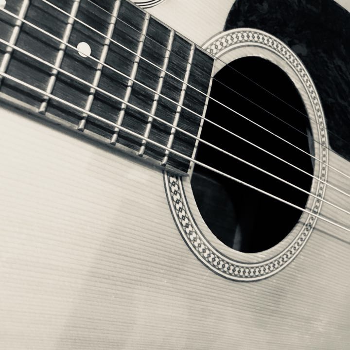 shi jia yang hua gong yu Cover: xiao song yuan jun