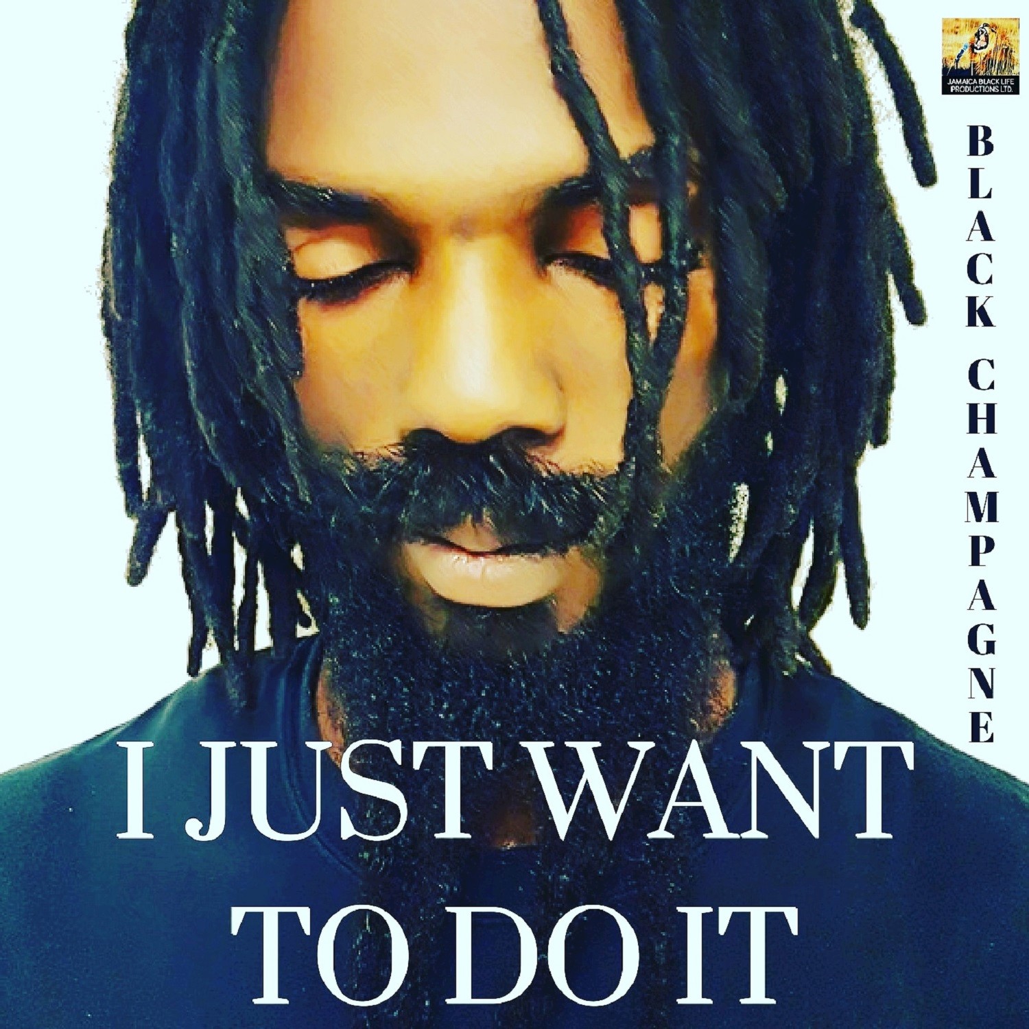 I Just Want to Do It