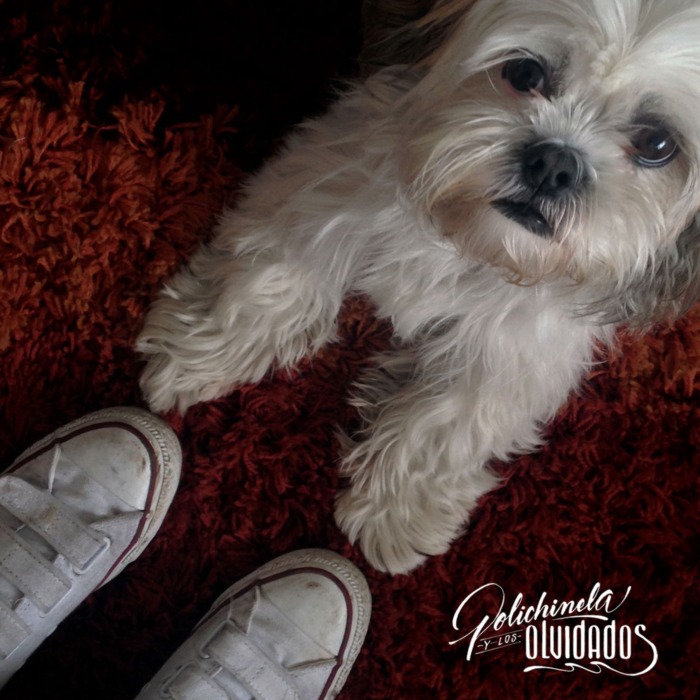 Do nde Entierro a Mi Perro