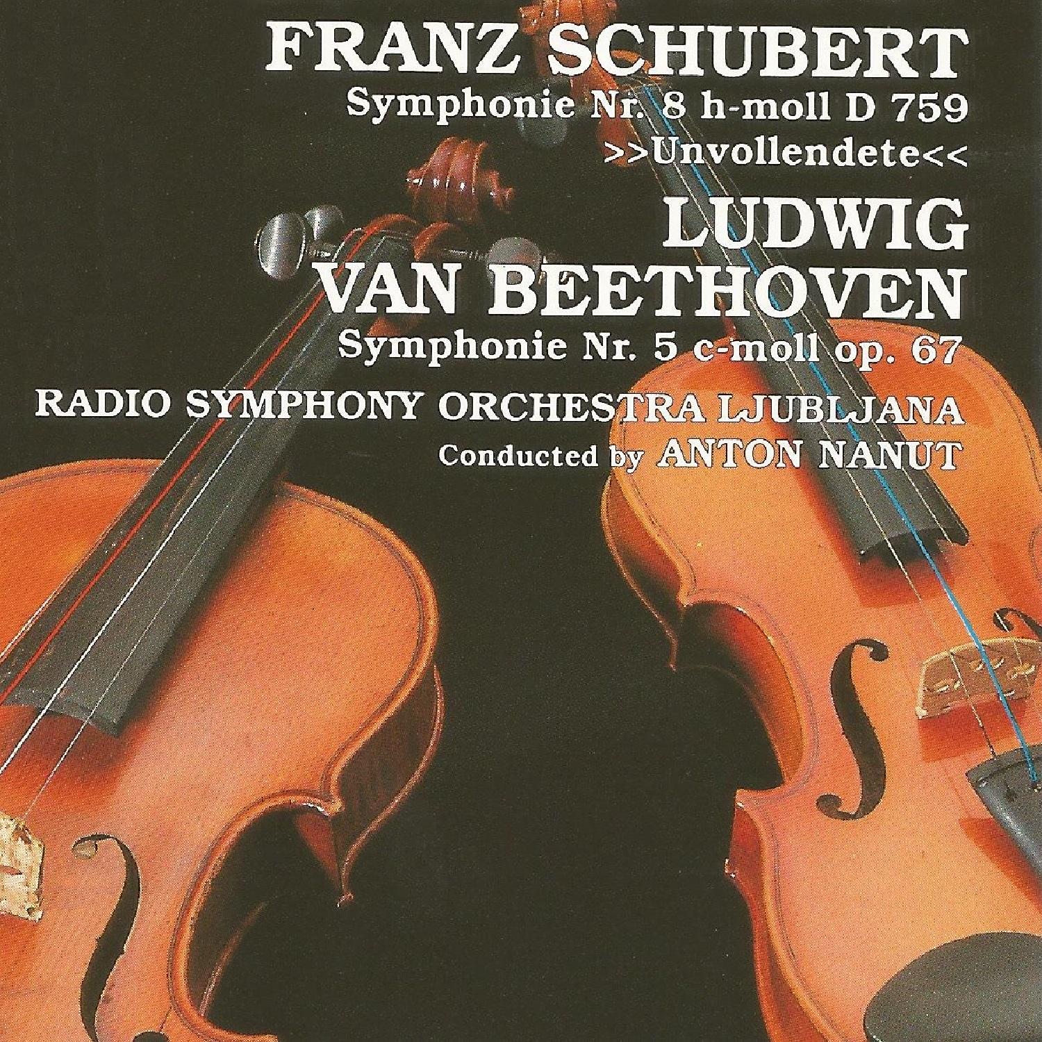 Franz Schubert, Ludwin van Beethoven