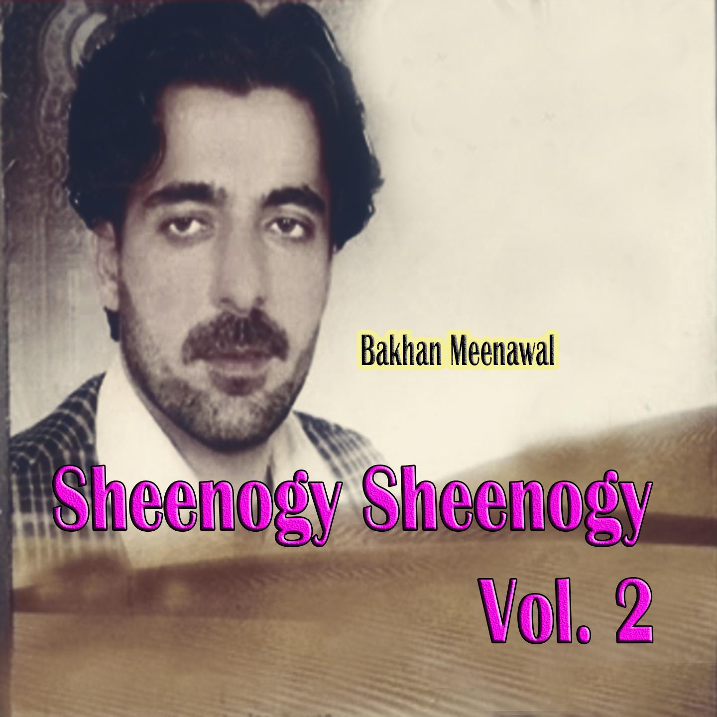 Sheenogy Sheenogy, Vol. 2