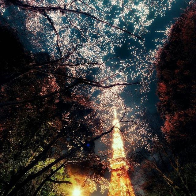 tian hei hei Cover sun yan zi