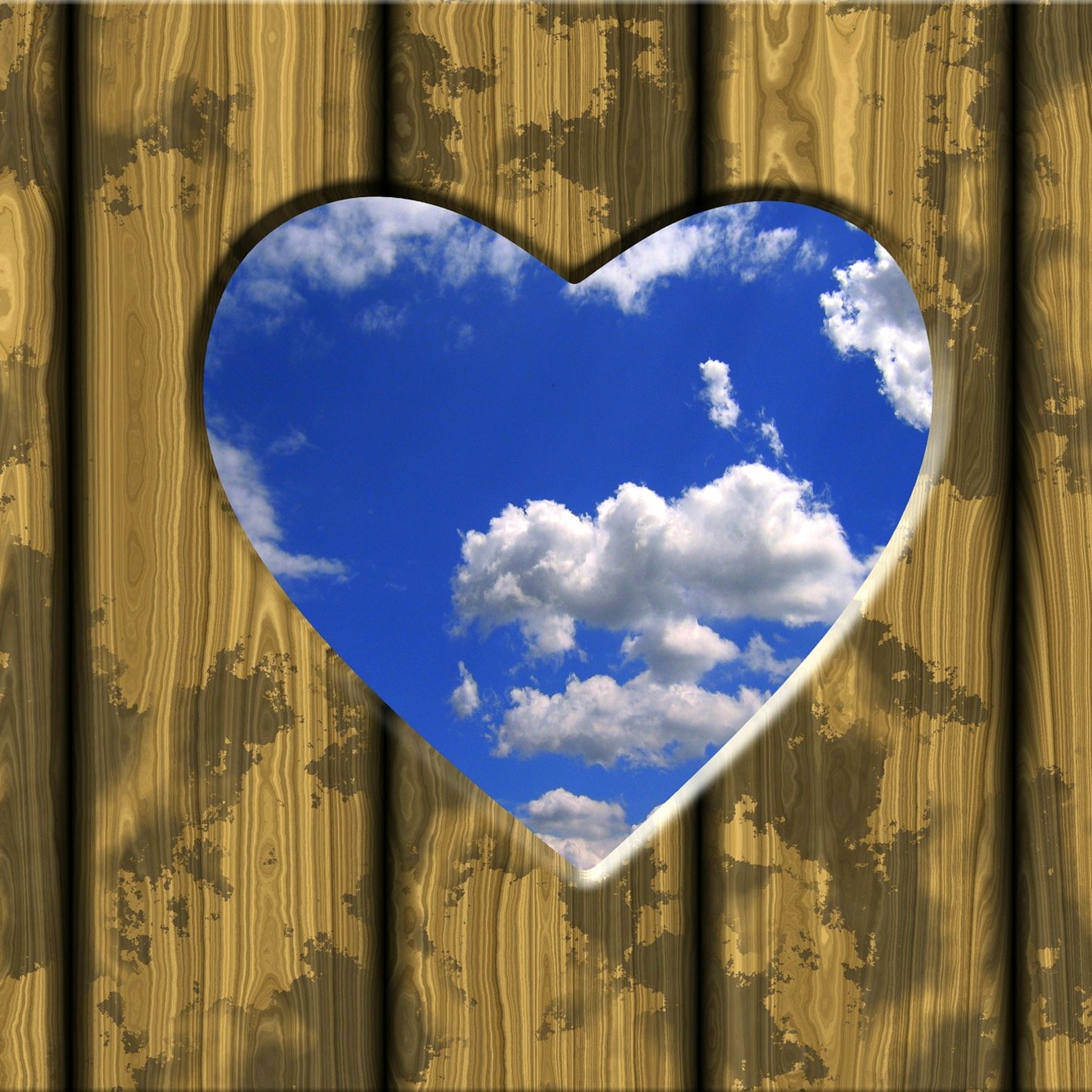 Strauss Tritsch Tratsch Polka (Original Mix)