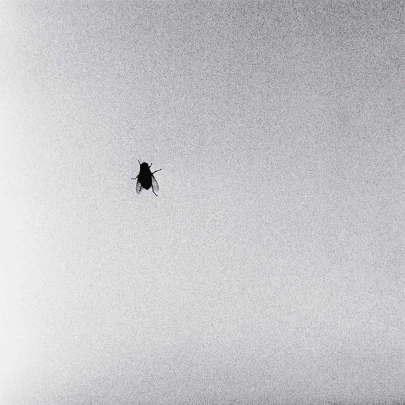 Pale Blue Dot, Pt. 2