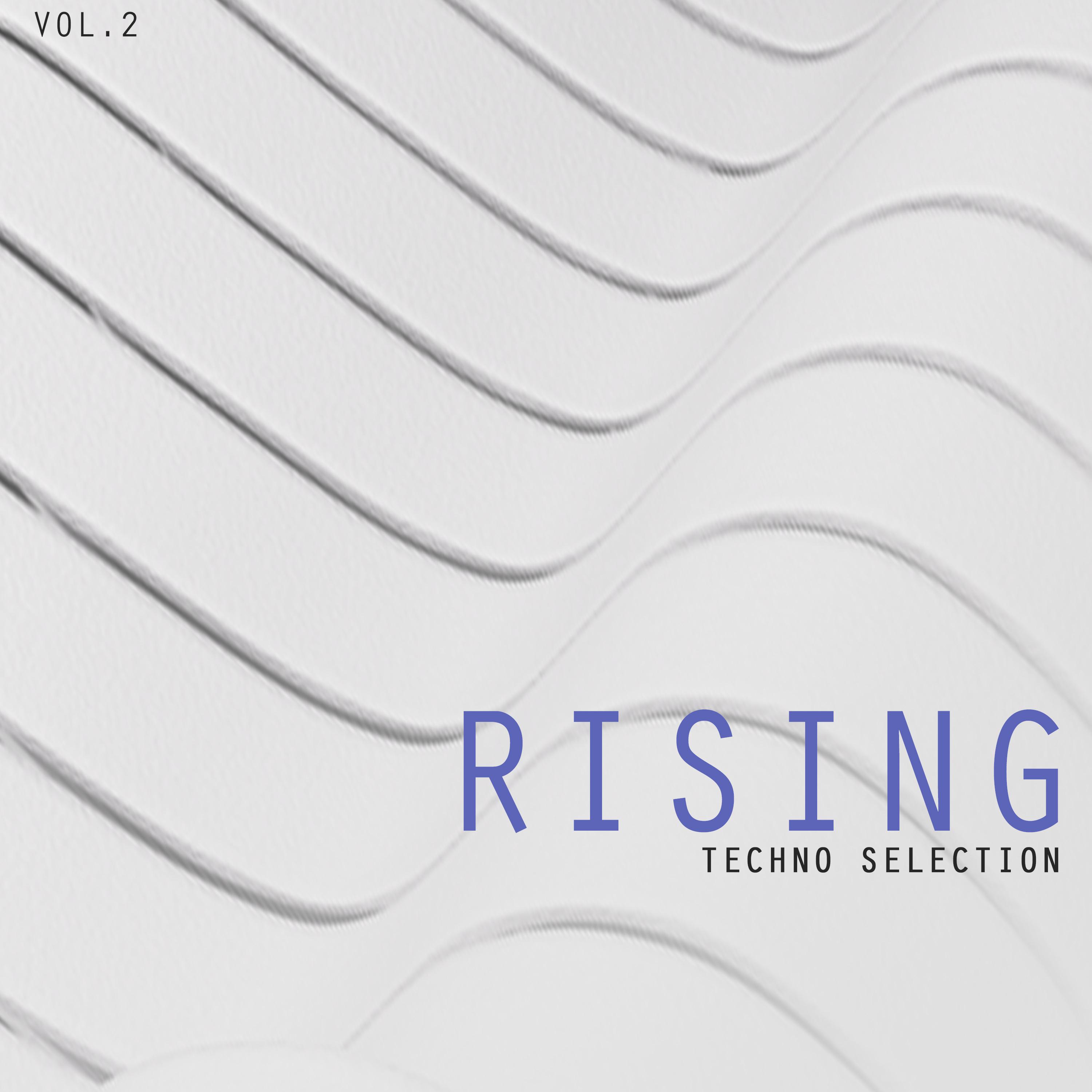 Rising Techno Selection, Vol. 2