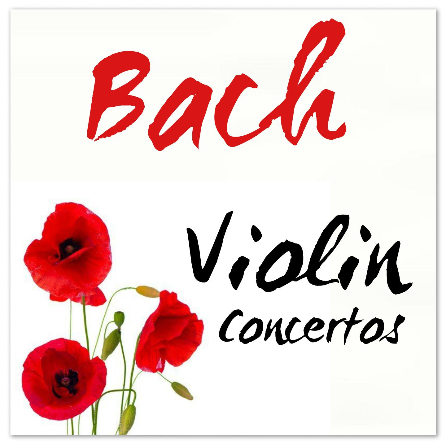 Violin Concerto in D Minor, No.3, BWV1040 "Double": I. Vivace