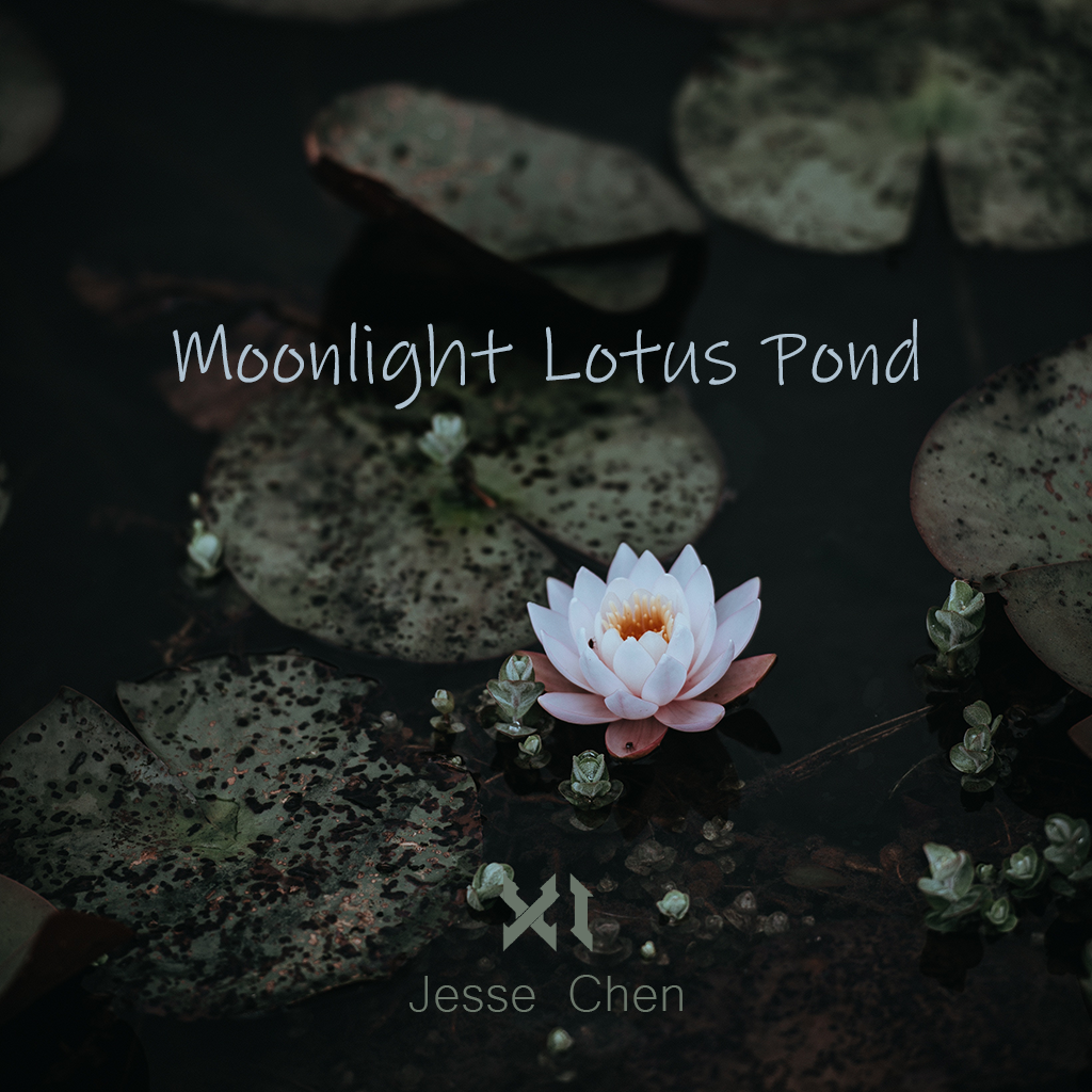 Moonlight Lotus Pond he tang yue xia