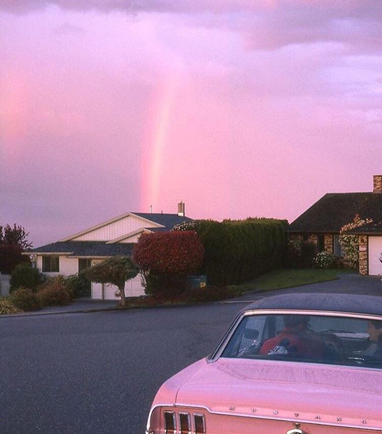 qiu ri lian ai xi ti