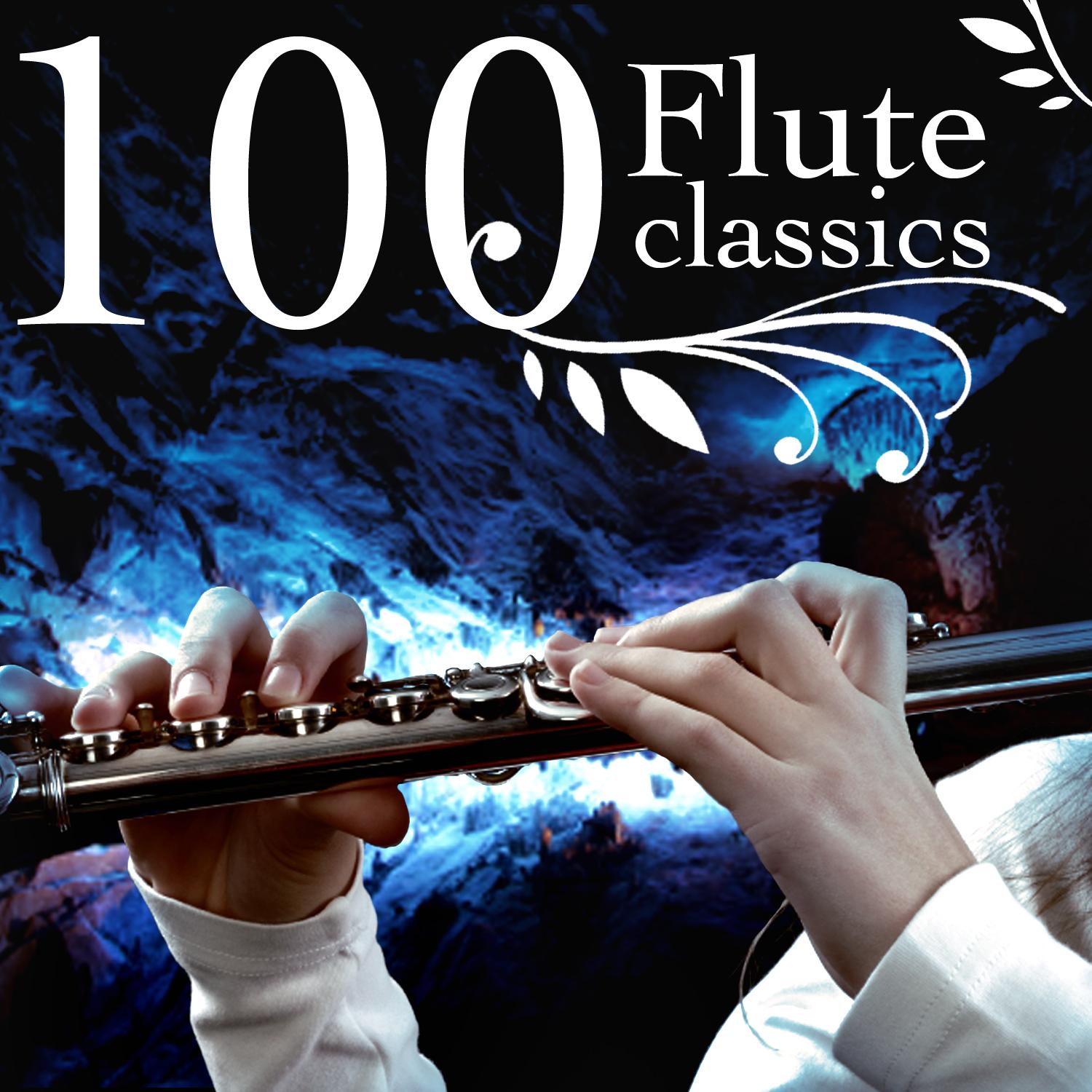 Concerto For Flute And Orchestra In G Major - I. Allegro