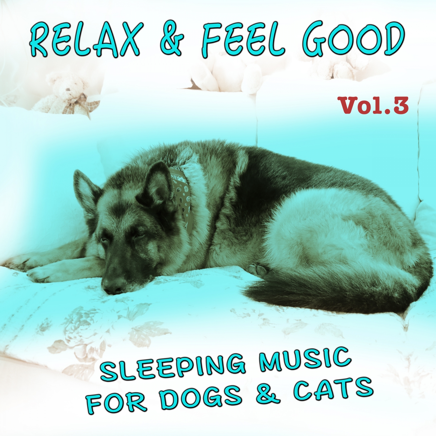 Sleepmusic for Dogs and Cats (Long Version)
