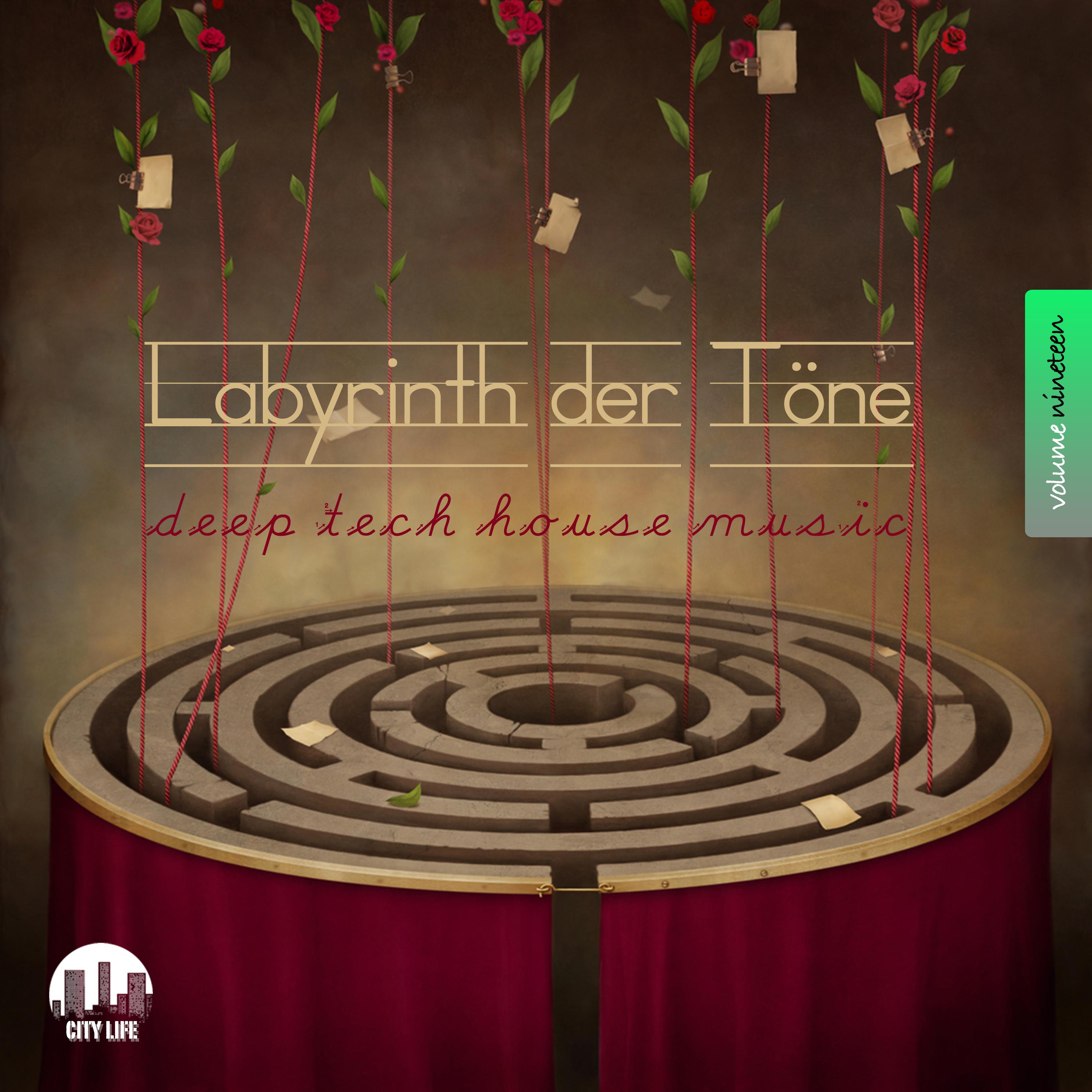Labyrinth der T ne, Vol. 19  Deep  TechHouse Music