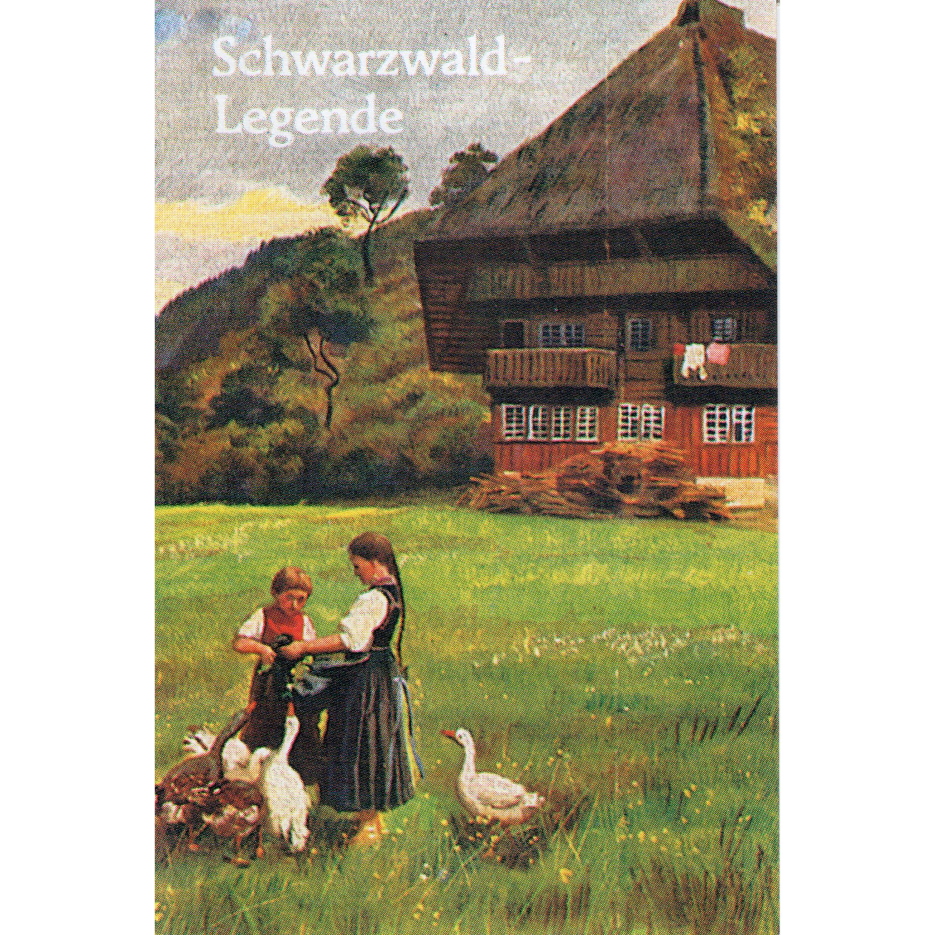 Im Schwarzwald