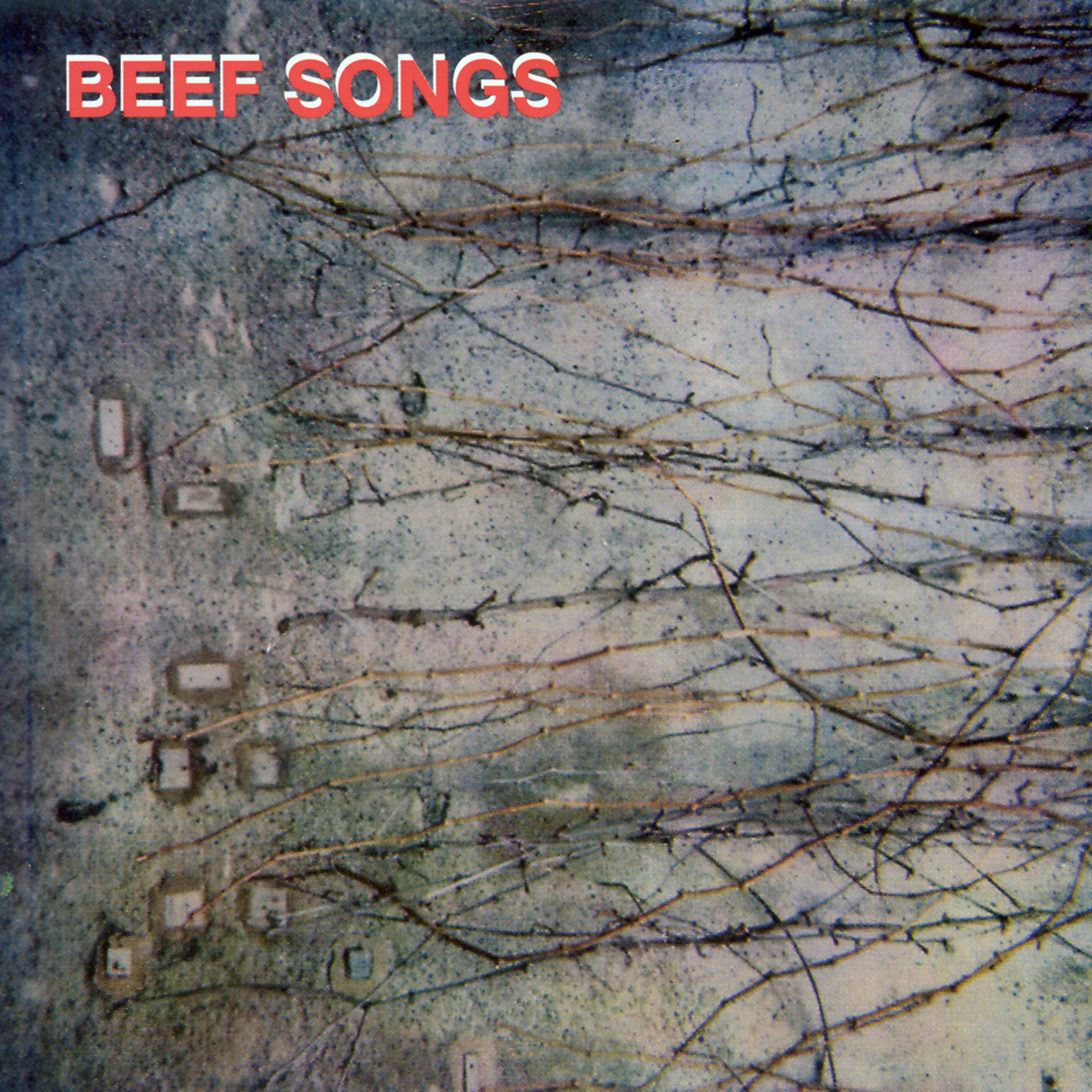 Beef song