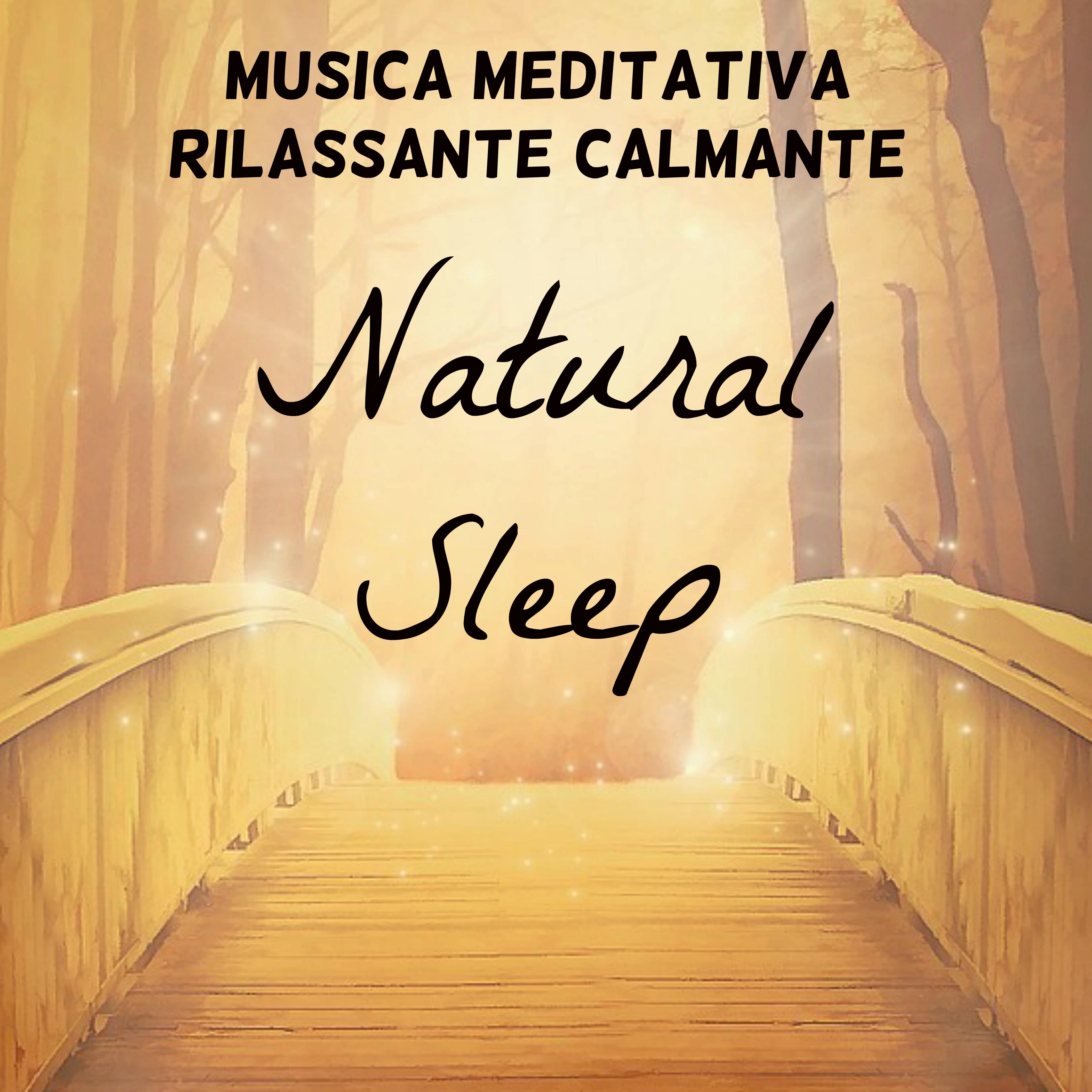 Natural Sleep - Musica Meditativa Rilassante Calmante per Studiare Meglio Spirito Libero Potere della Mente con Suoni della Natura Benessere Strumentali