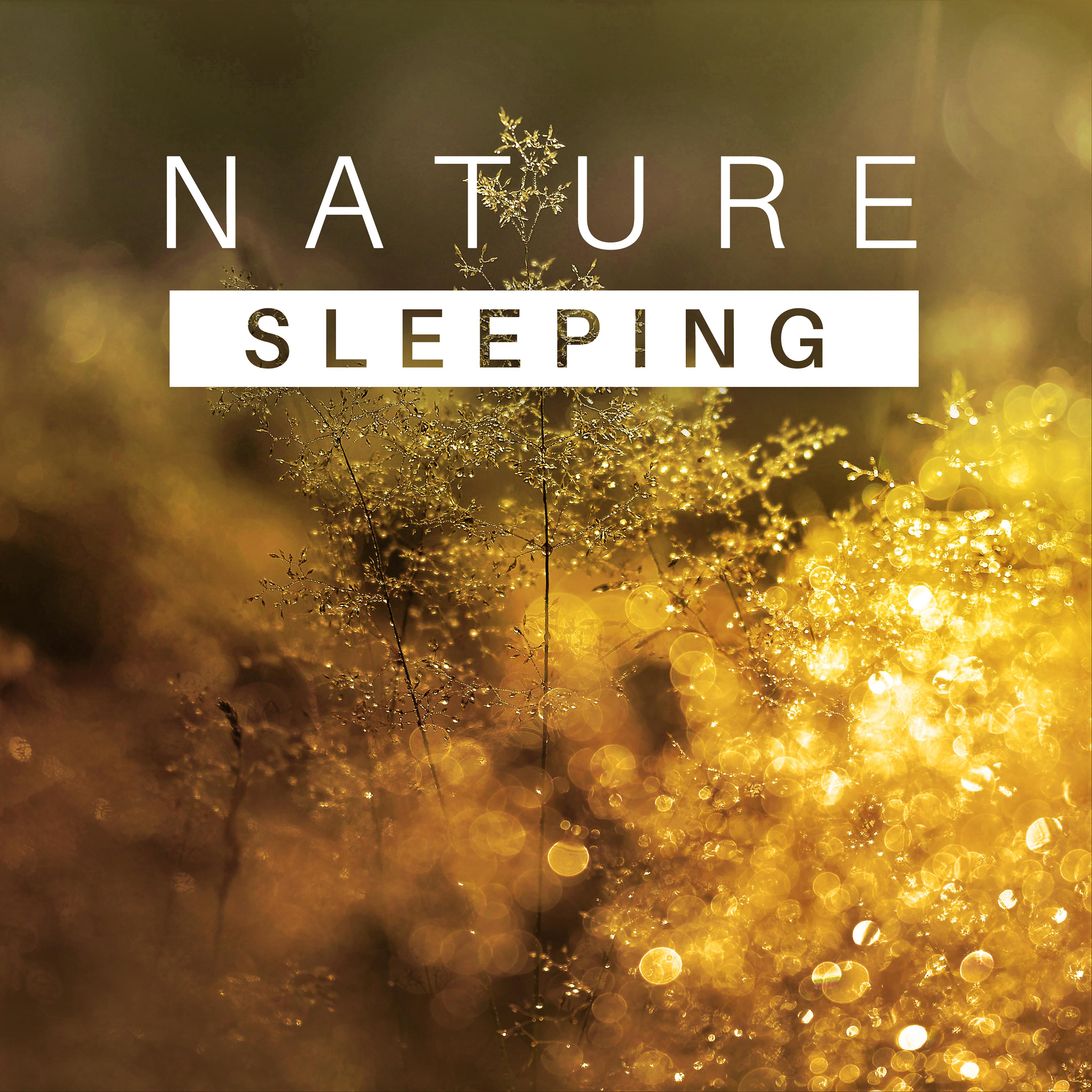 Sleeping Nature  Healing Music for Relaxation, Stress Relief, Sounds of Water, Singing Birds, Nature Sounds to Calm Down, Pure Mind