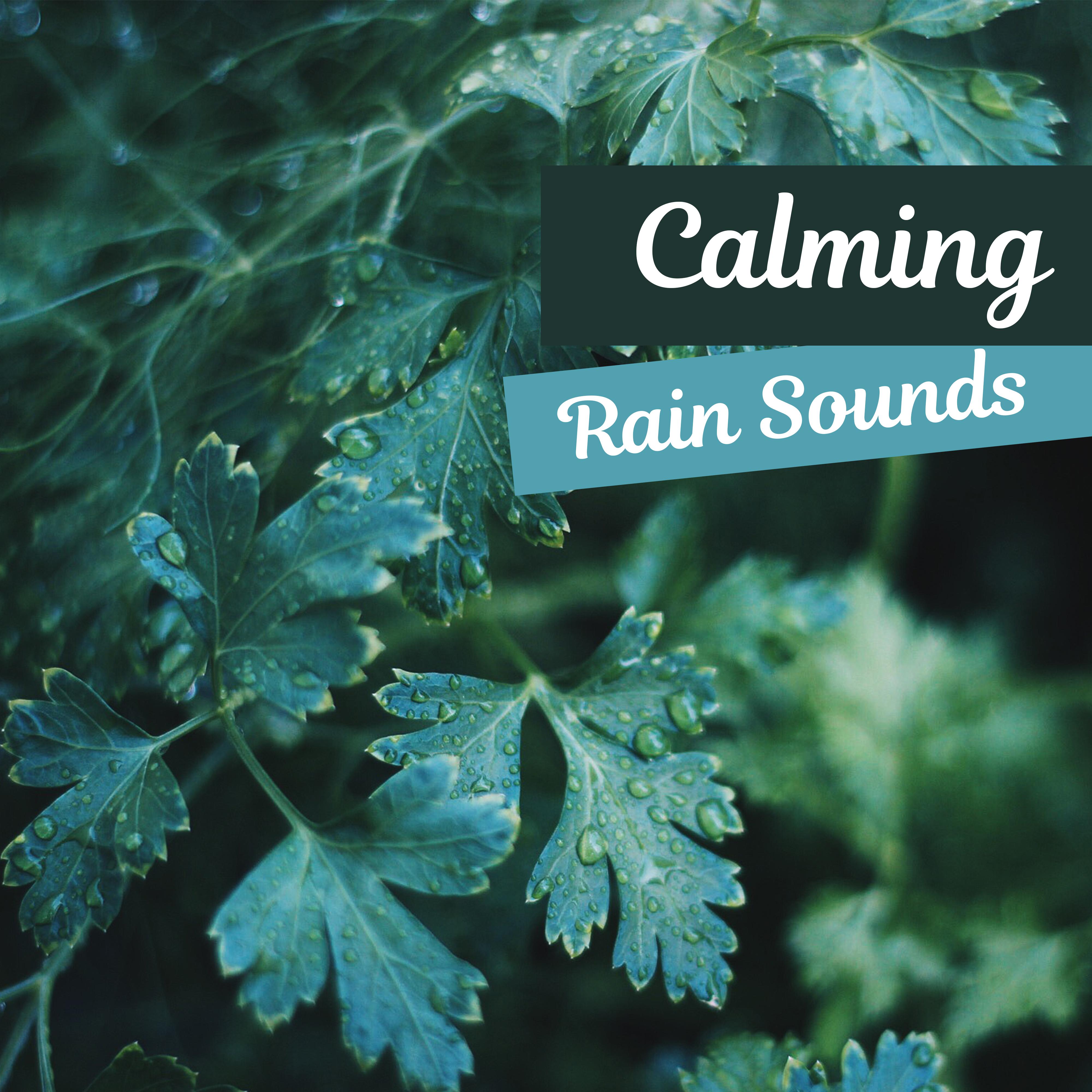 Calming Rain Sounds  Soft Sounds to Relax, Piano Relaxation, Easy Listening, New Age Music