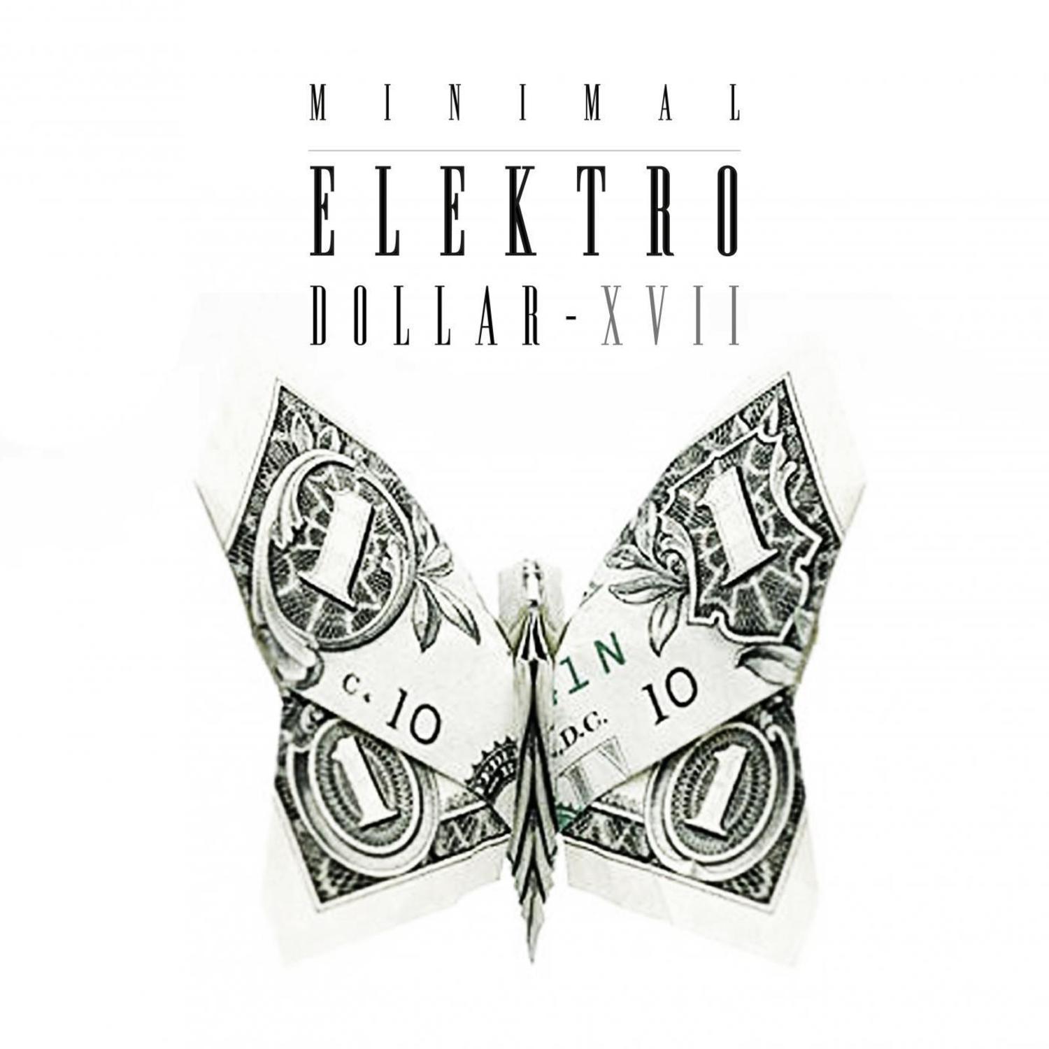 MINIMAL ELEKTRO-DOLLAR XVII