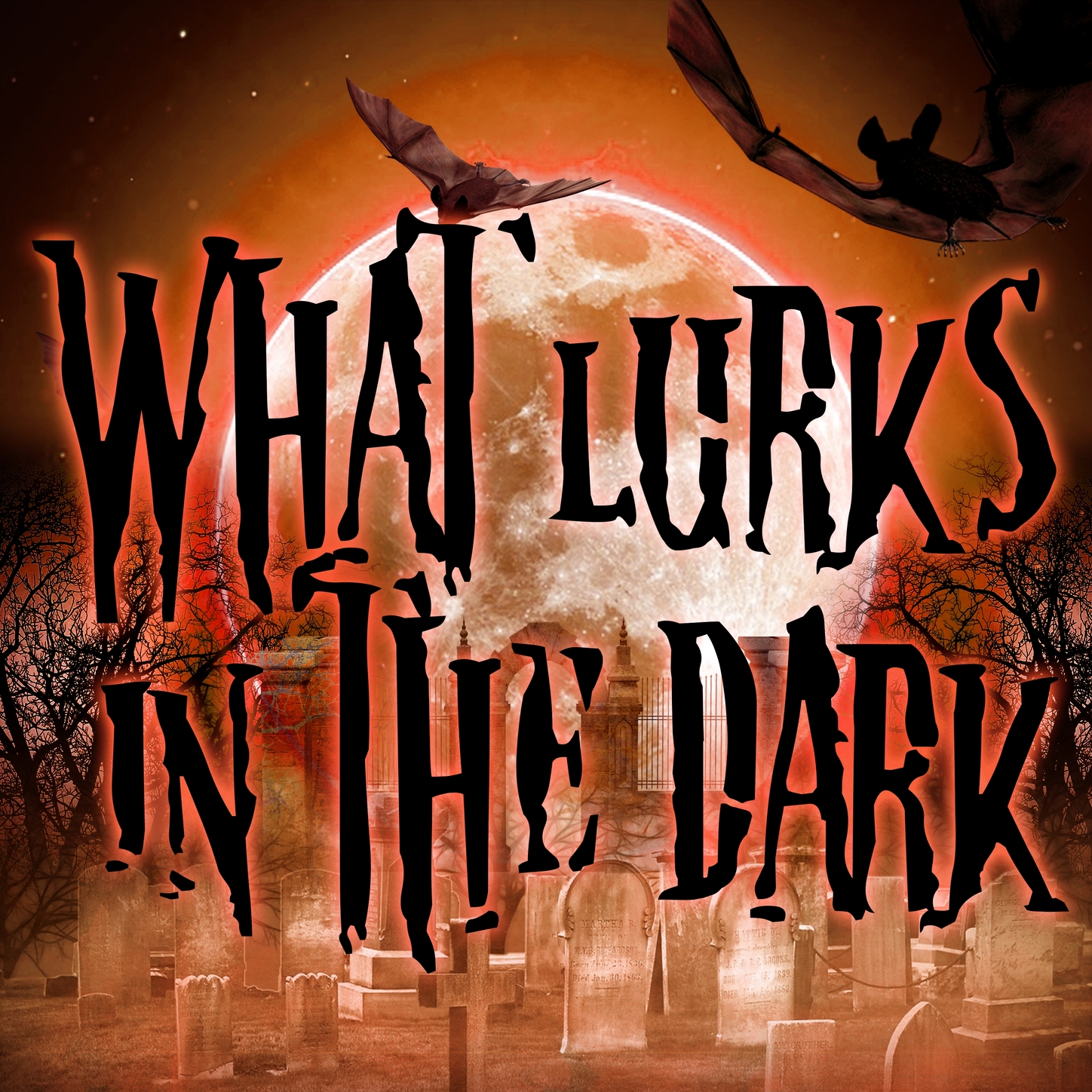 What Lurks in the Dark