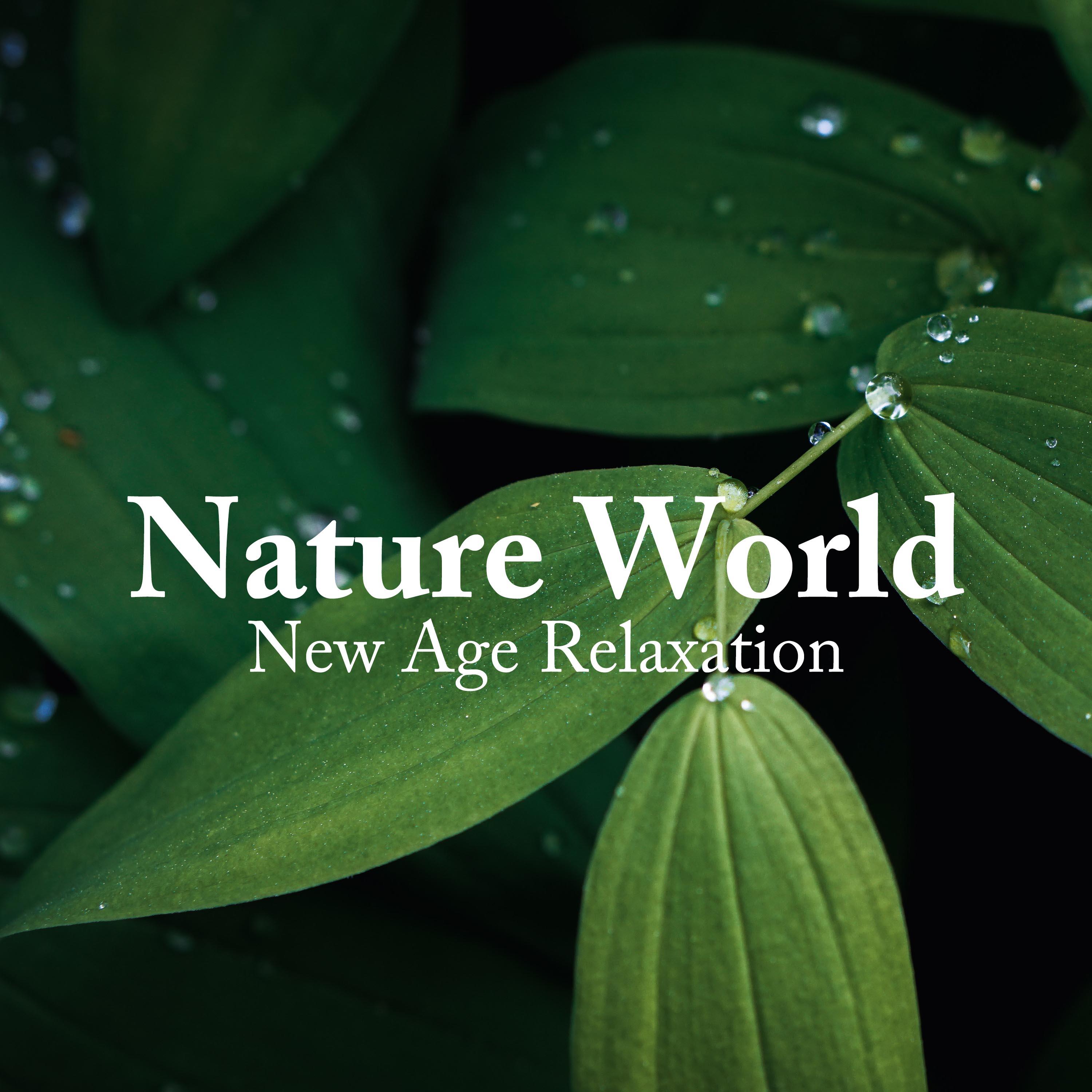 Nature World - New Age Relaxation, Meditation Music for your Well-Being