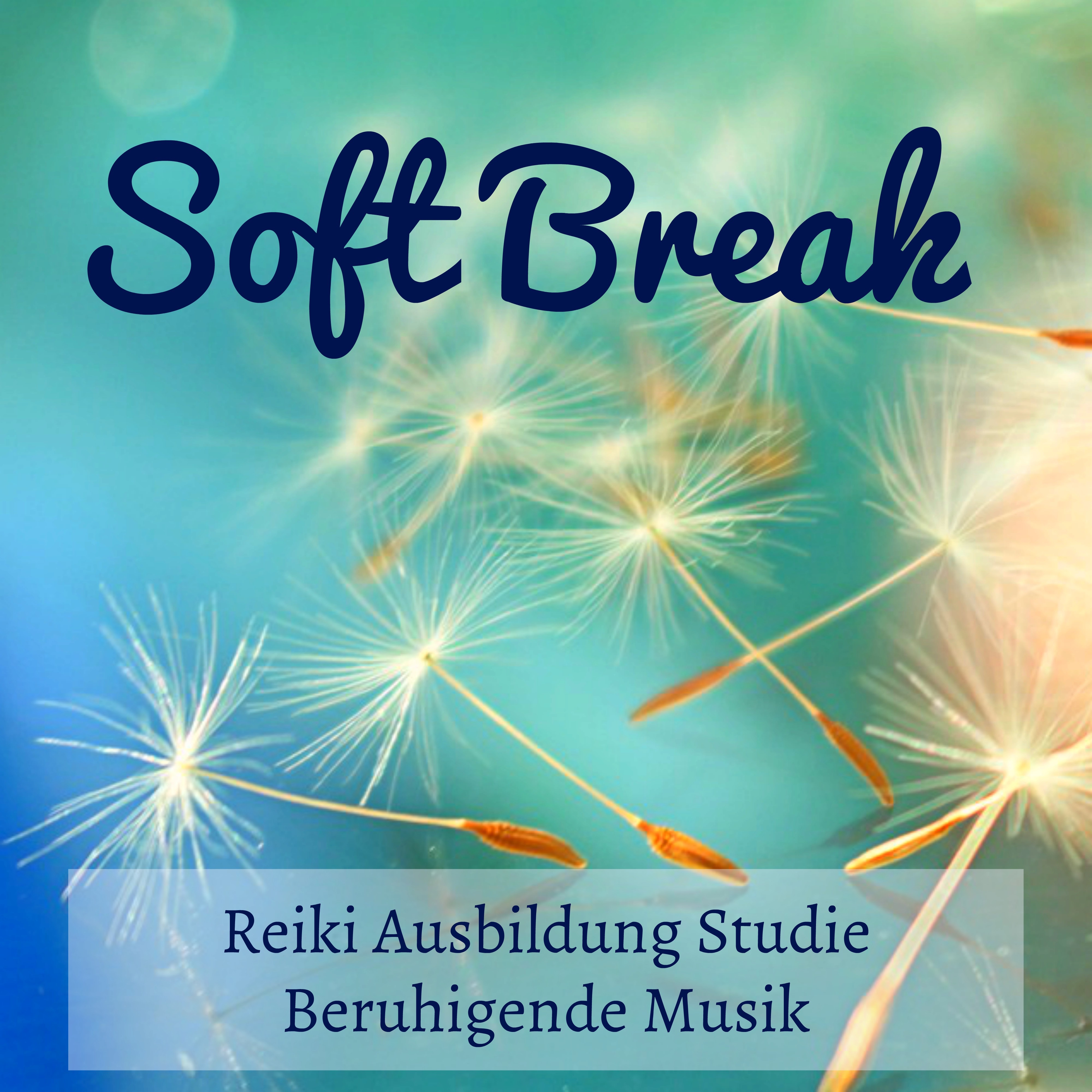 Soft Break  Reiki Ausbildung Studie Beruhigende Musik fü r Prana Energie Biofeedback Therapie Geisteszustand mit Natur Instrumental New Age Ger usche