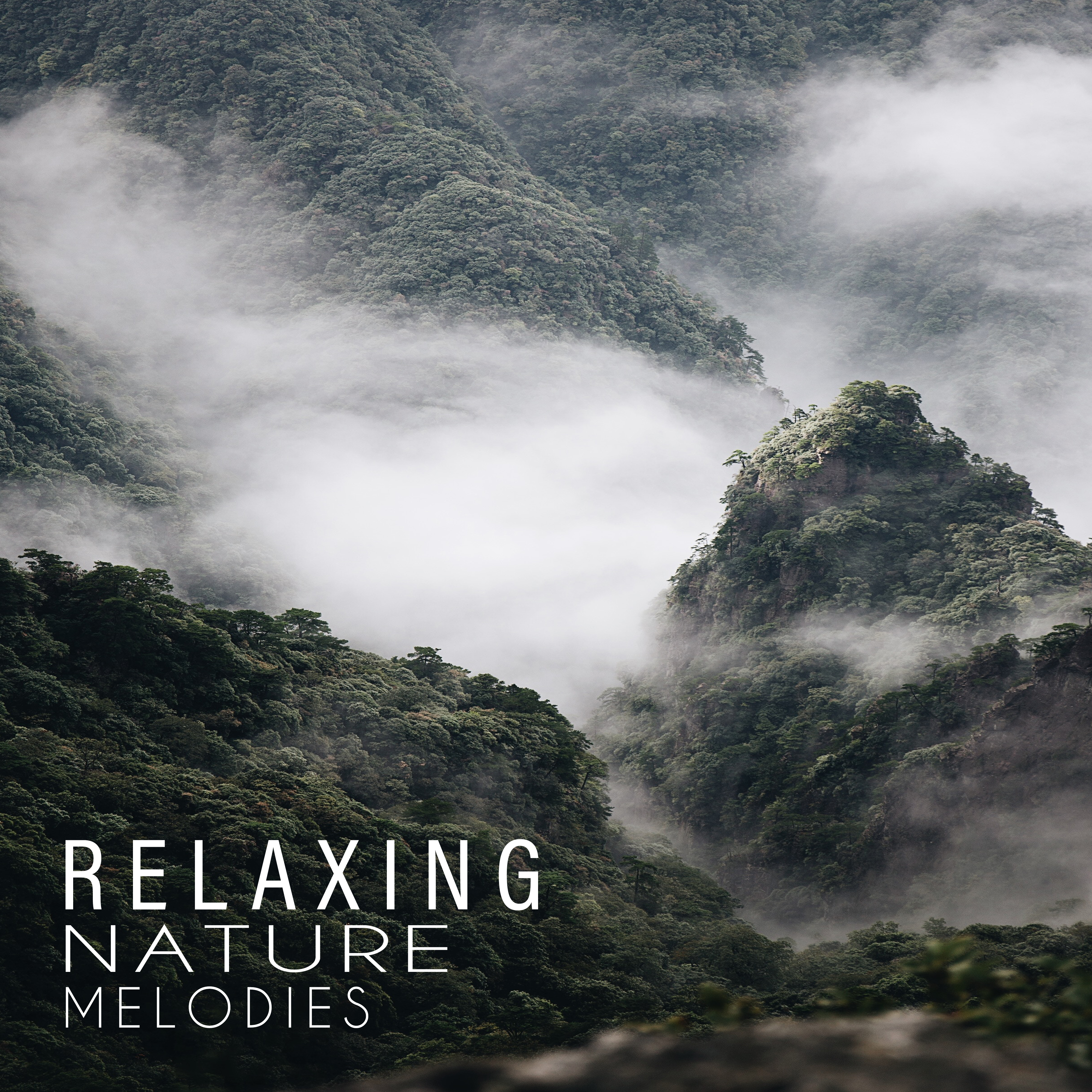 Relaxing Nature Melodies