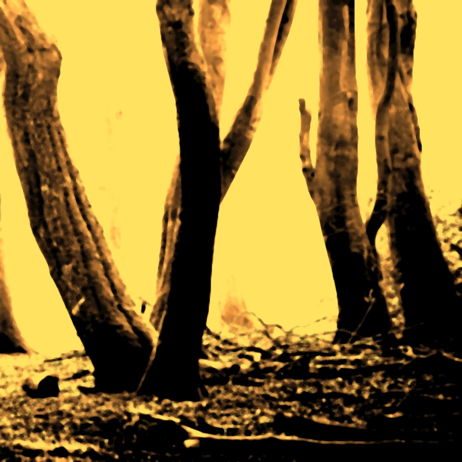 Dark Fields of September, Pt. 1