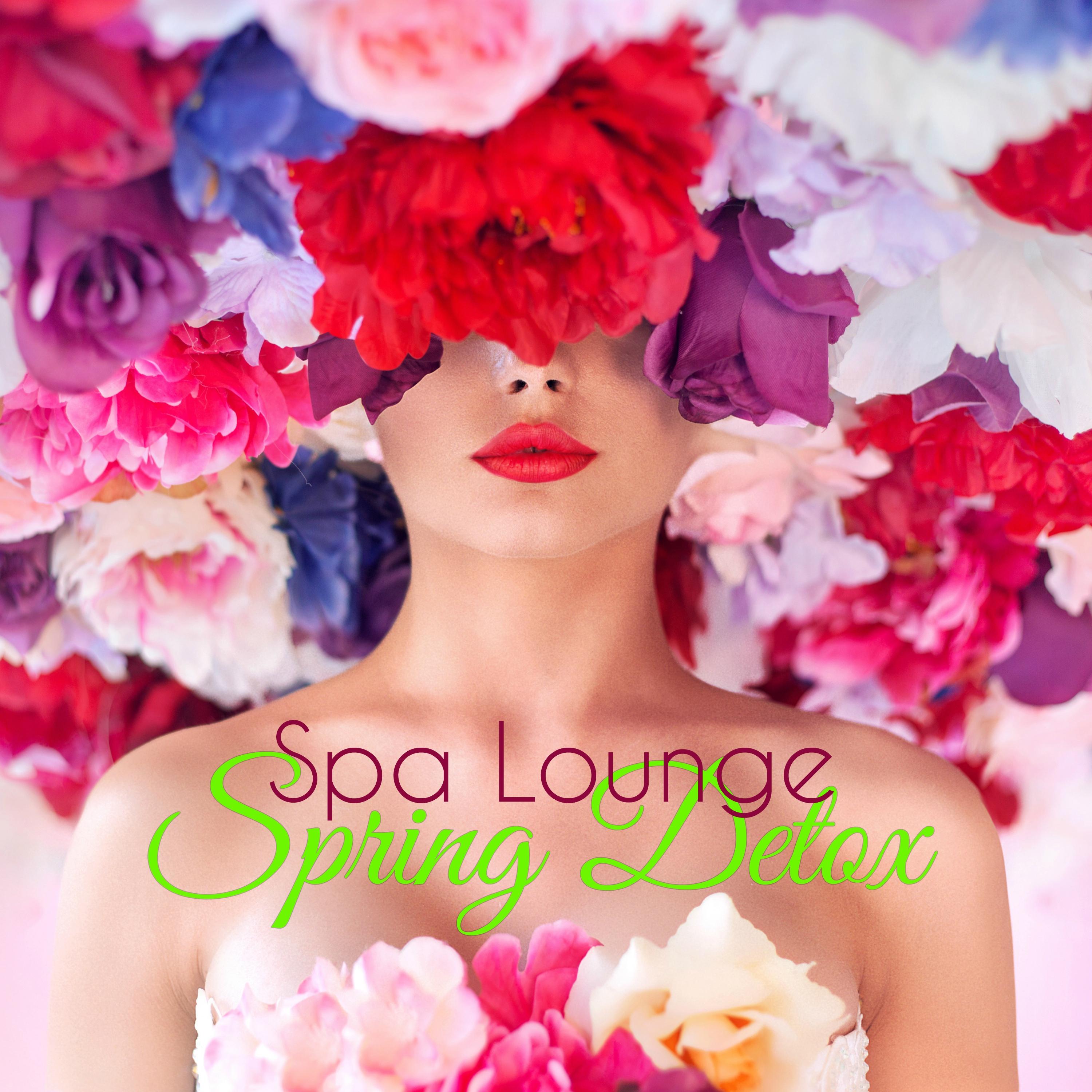 Spring Detox Spa Lounge  Best Lounge for Massage, Pilates, Wellness  Spa Treatments