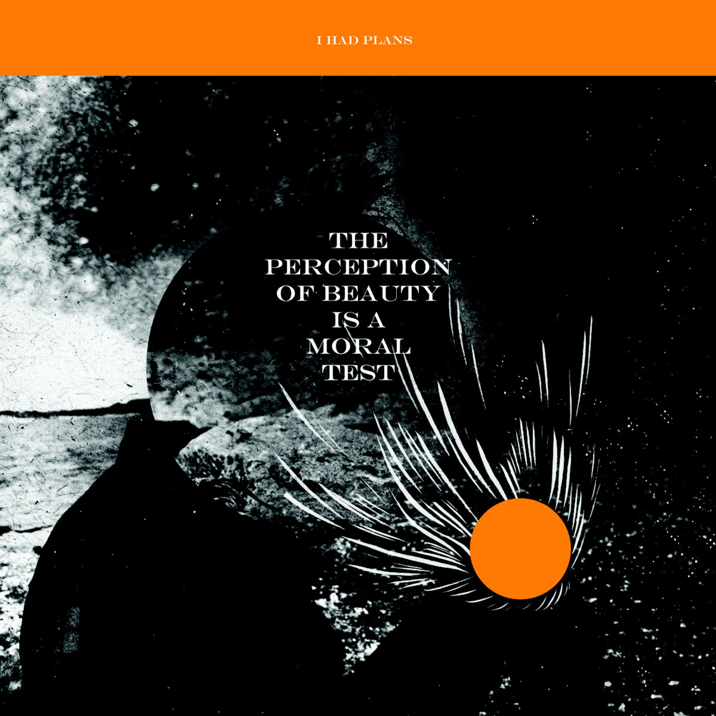 The Perception Of Beatuy Is A Moral Test