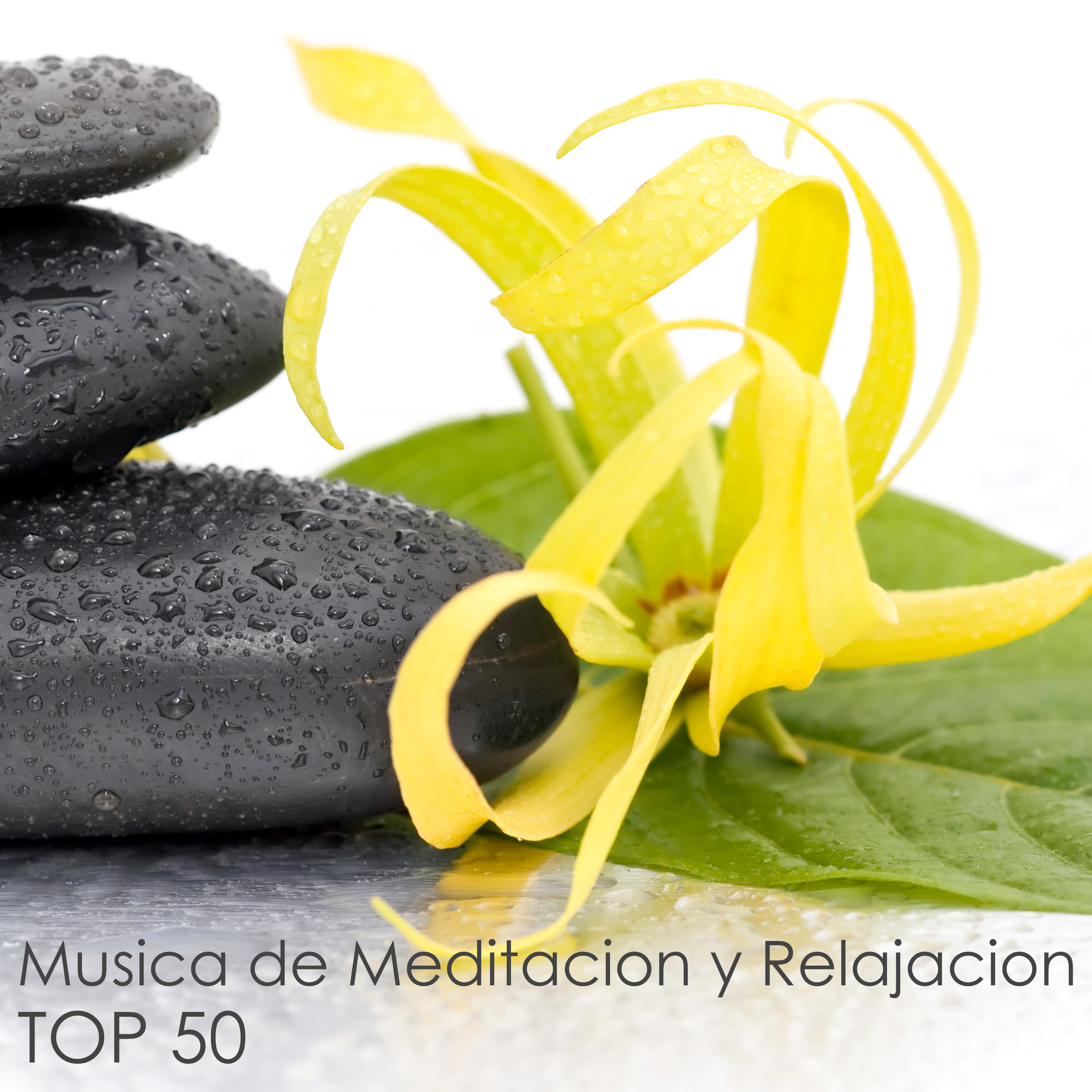 Top 50 Musica de Meditacion y Relajacion  50 Musicas Relajantes para Descansar, Dormir y So ar