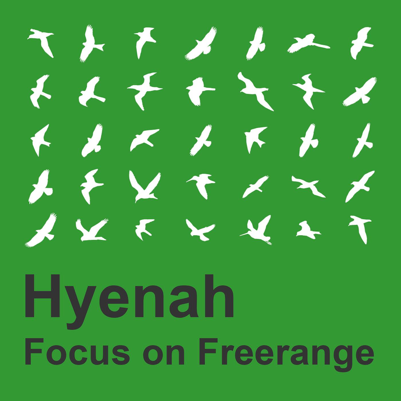 Focus On Freerange:  Hyenah