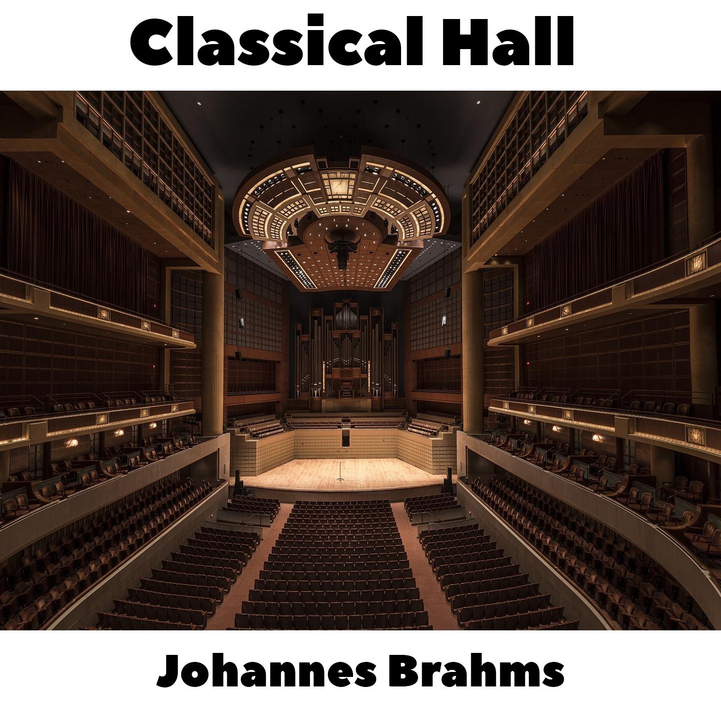 Johannes Brahms -  16 Waltzes, Op.39 - No.2 in E
