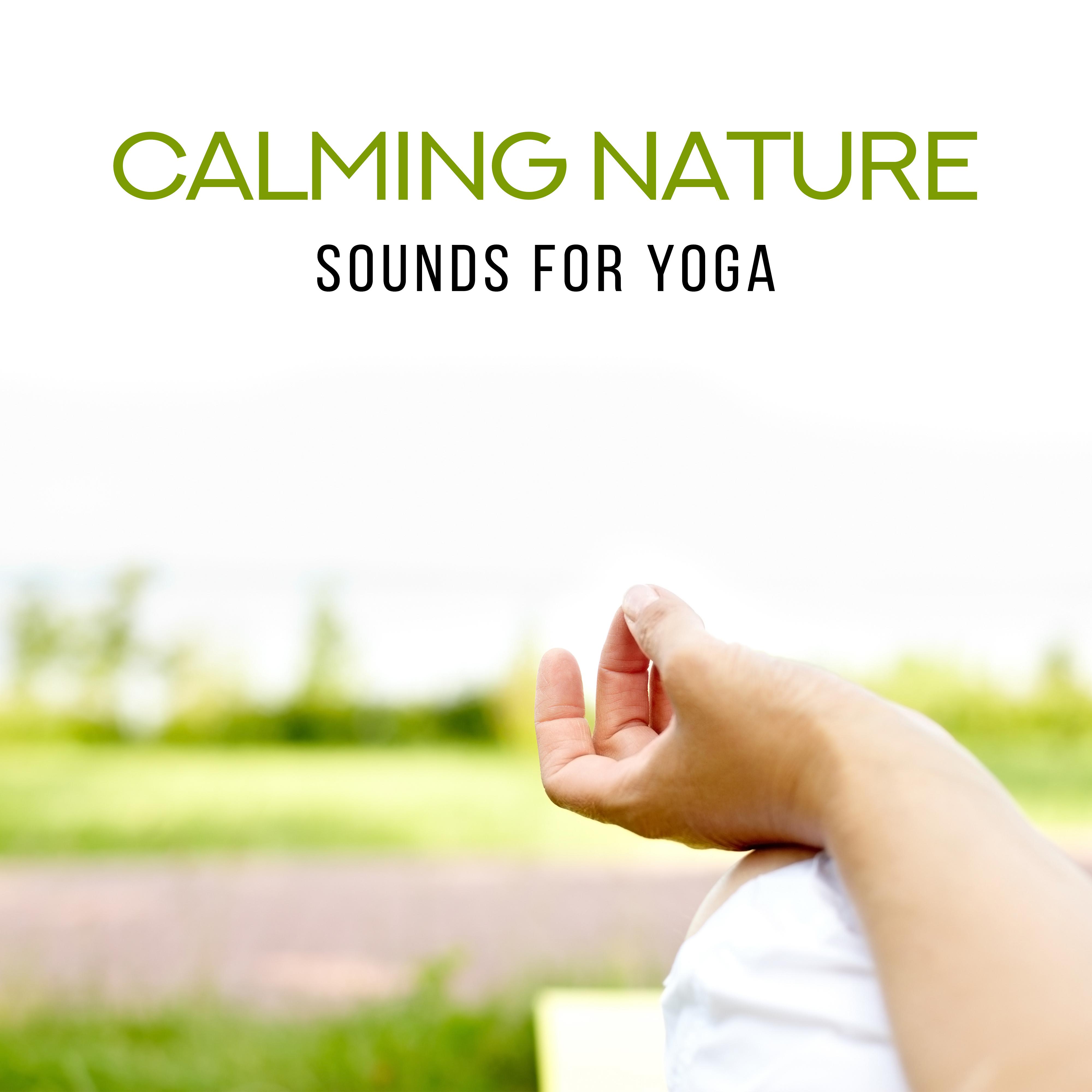 Relaxation: Ultimate Spa