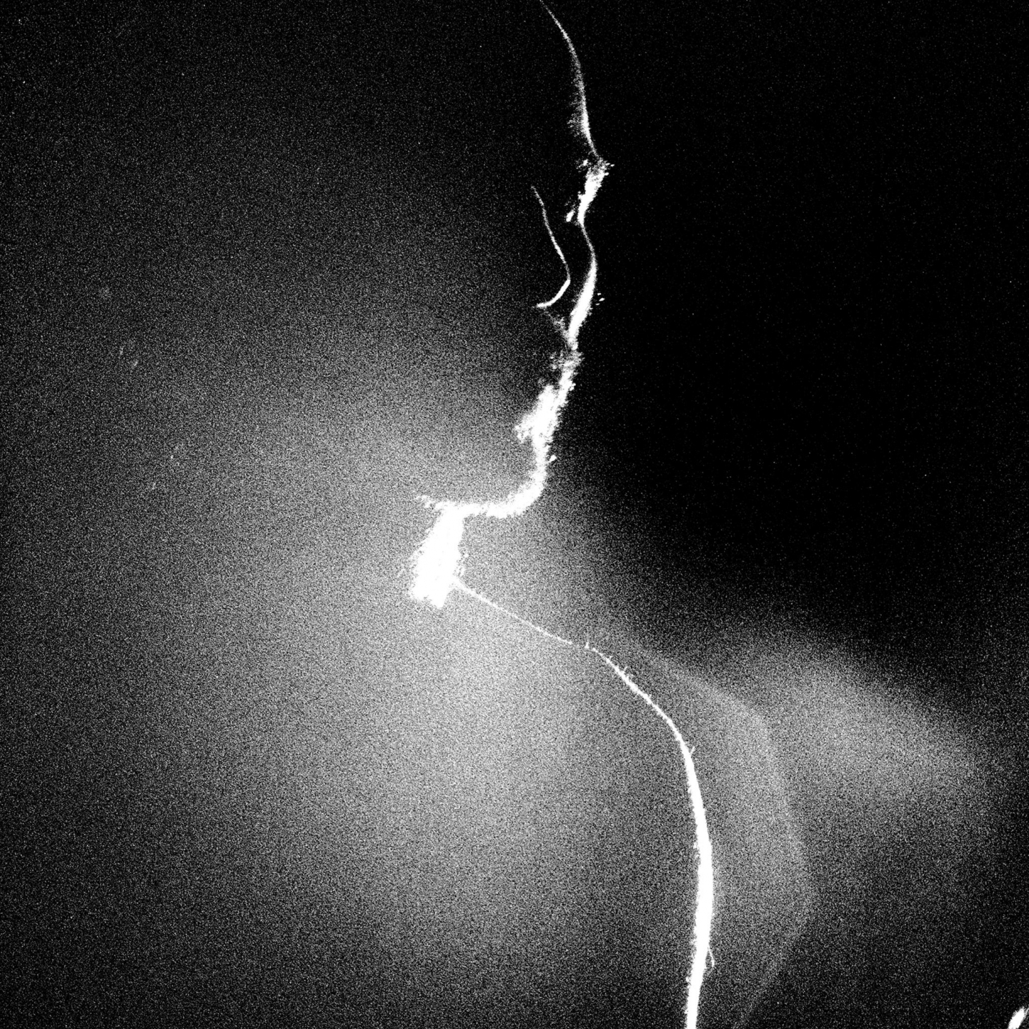 Echoes of Distant Voices