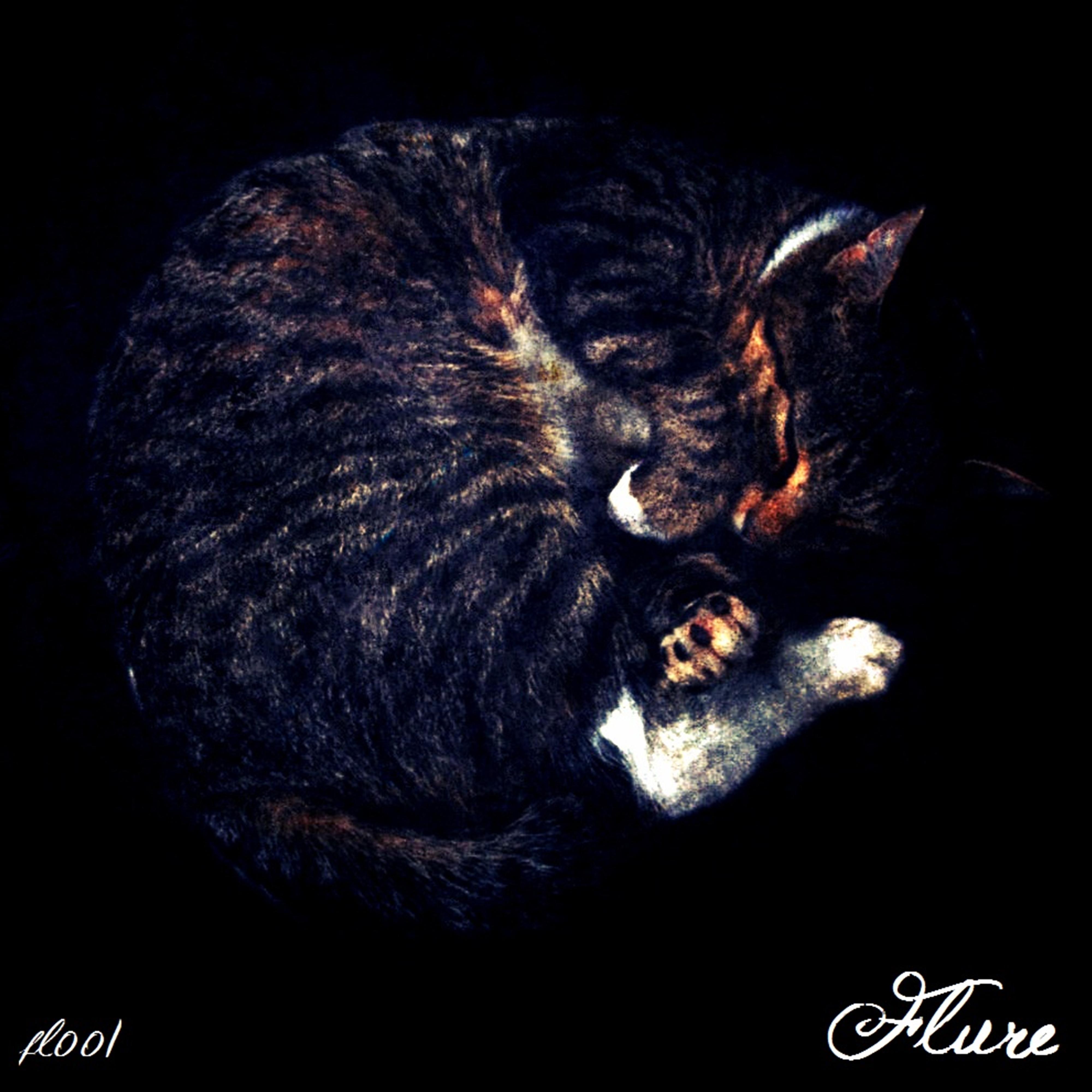 Walking Alone (Juan Pablo Tene Remix)