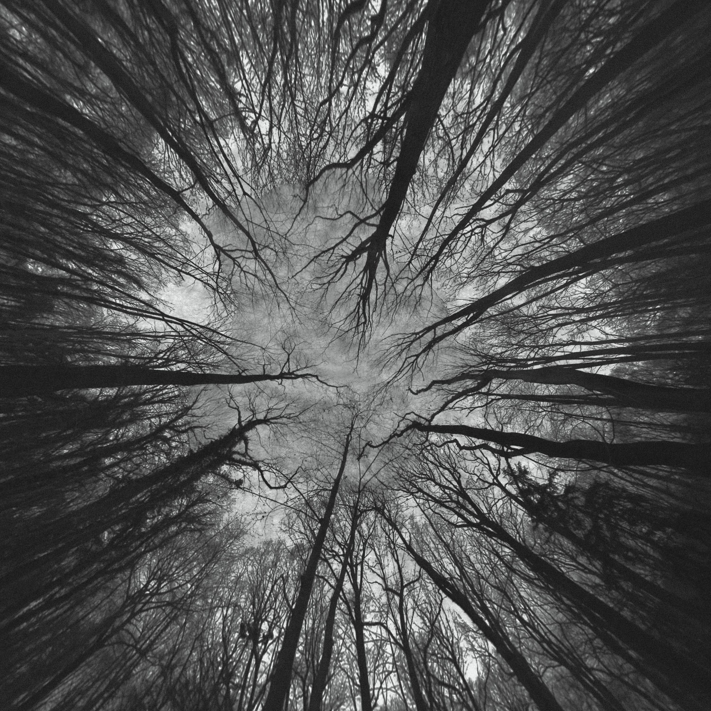 Nimbes (Eric Holm's 10/50 mix)