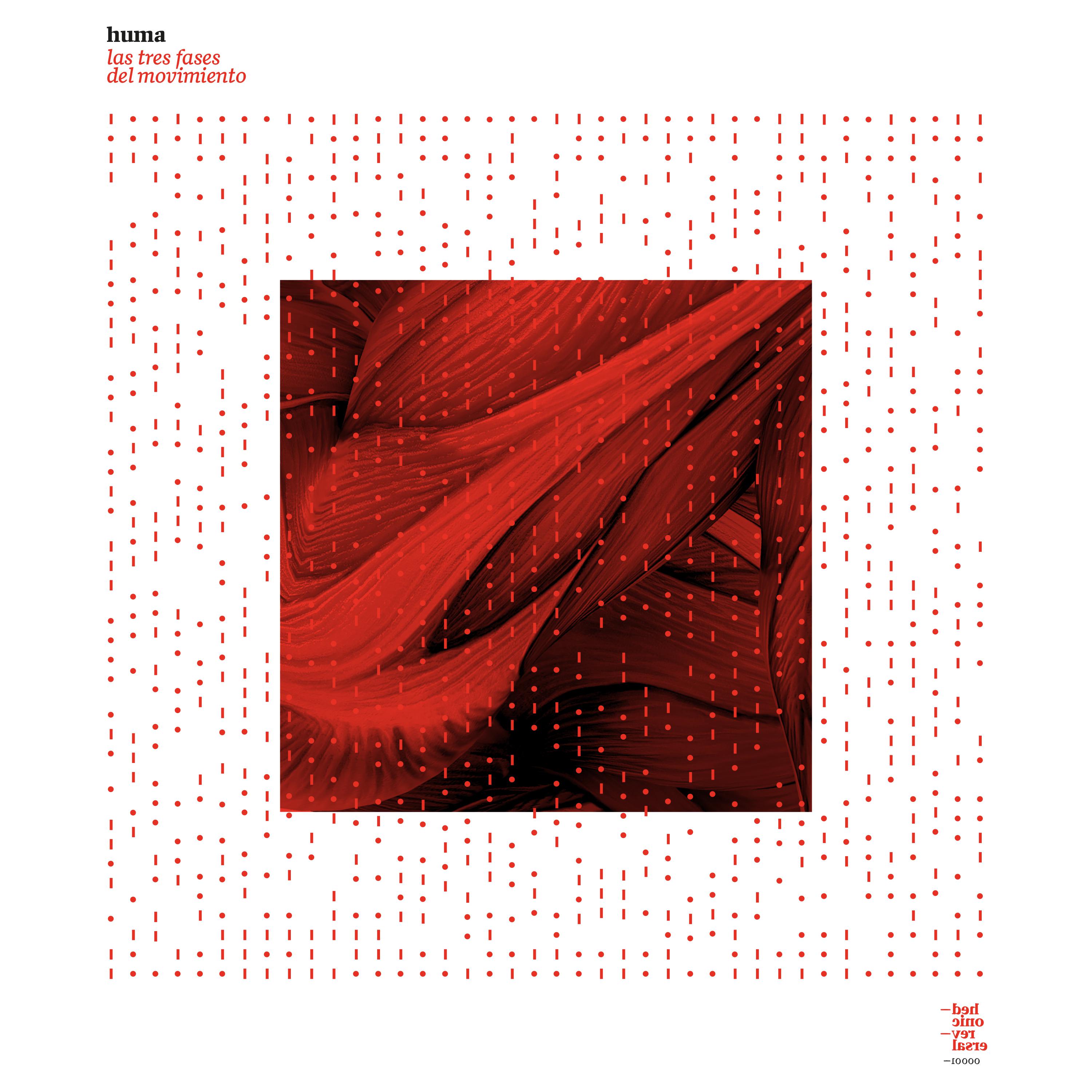 Las Tres Fases del Movimiento