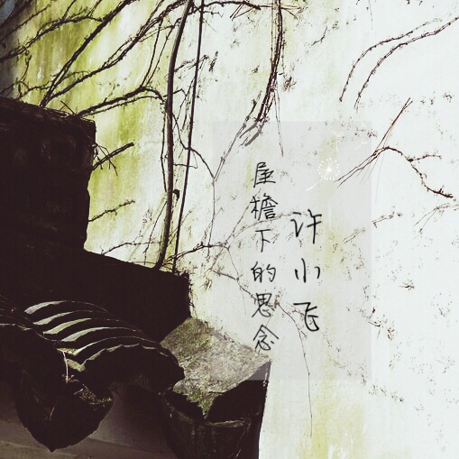 wu yan xia de si nian