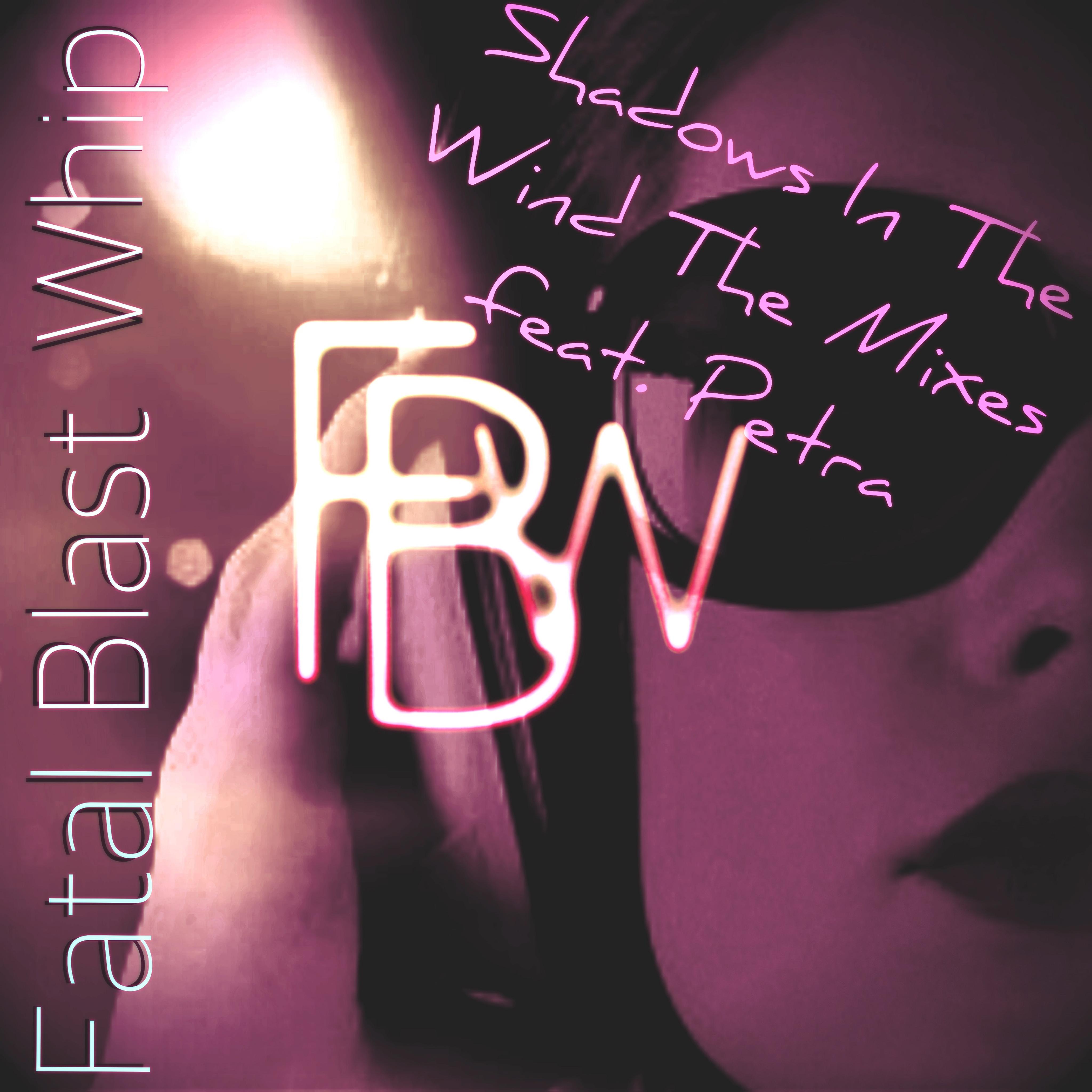 Shadows in the Wind (Radio Edit)