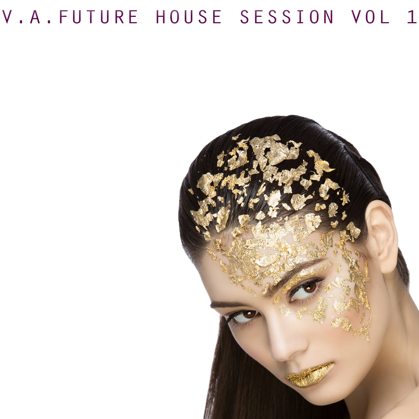V.A. Future House Session, Vol. 1