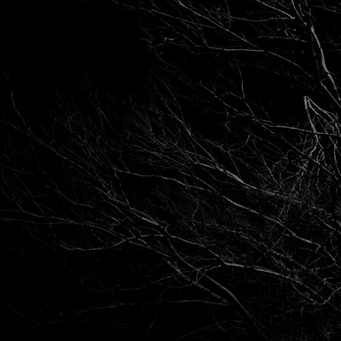 Purpose (prod. notmorgn)