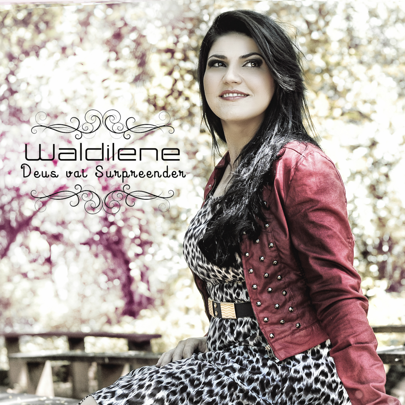 Deus Vai Surpreender