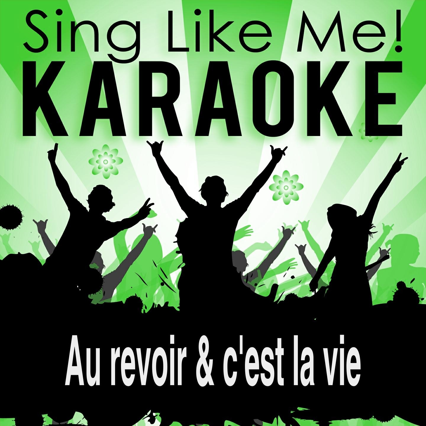Au revoir & c'est la vie (Discofox Mix) (Karaoke Version)