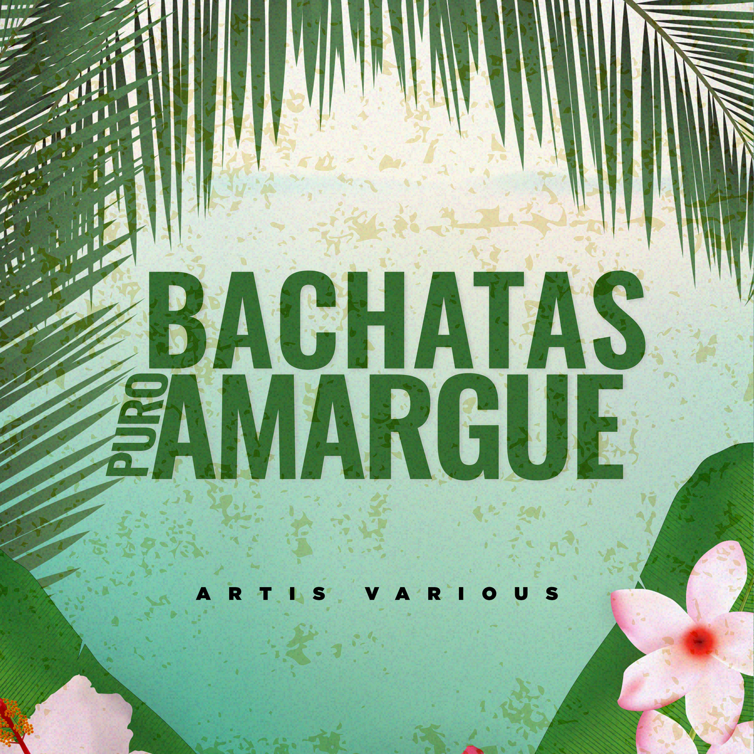 Bachatas Puro Amargue