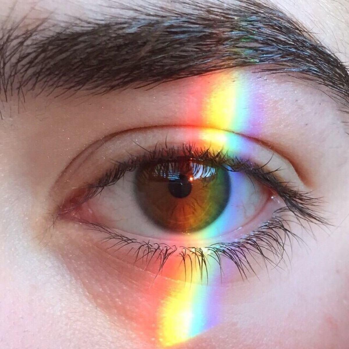 dou shi ni hai de Cover: bi shu jin