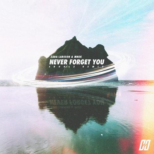 Never Forget You (Shoolz Remix)
