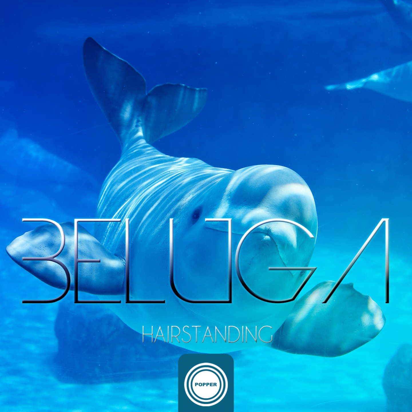 Beluga