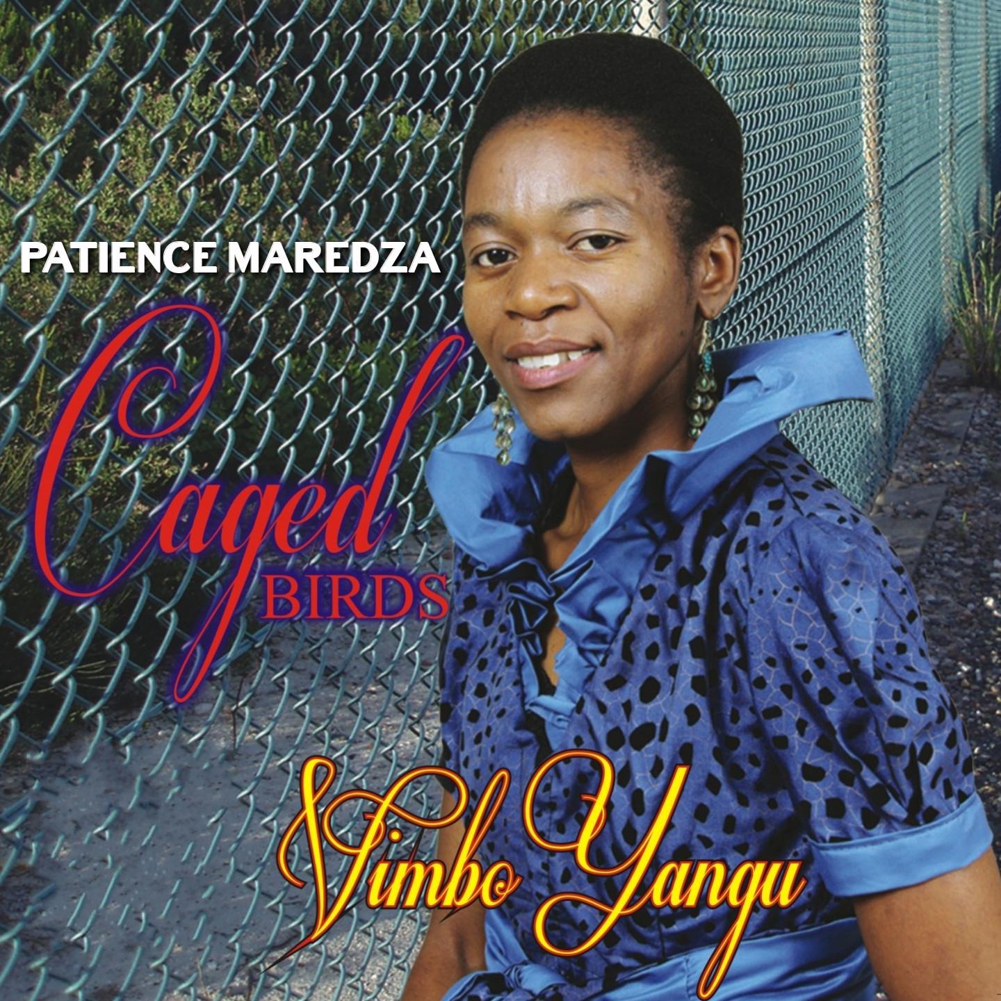 Ndinoda Kuenda (Instrumental)